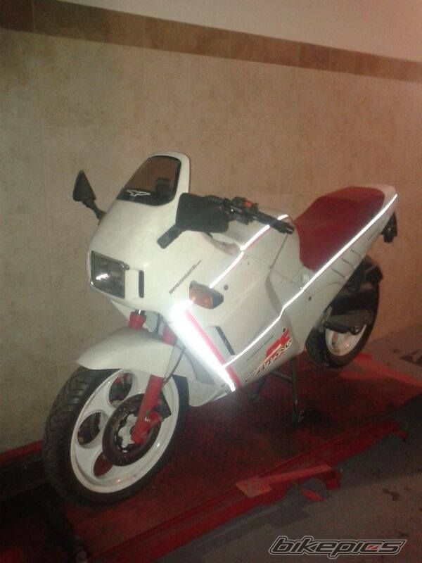 Photo 2765650