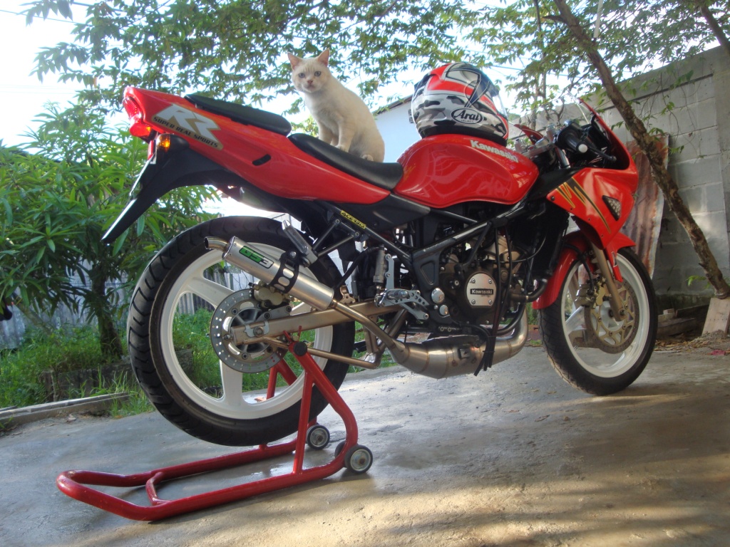 Photo 2765656