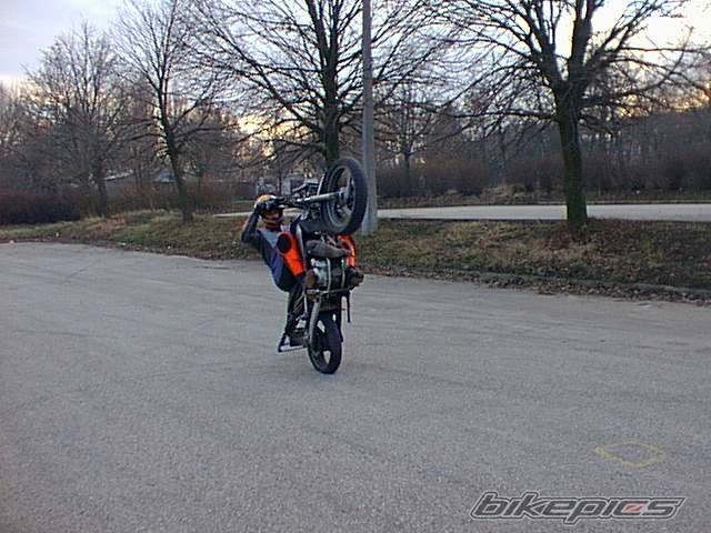Photo 276573