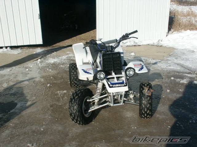 Photo 276574