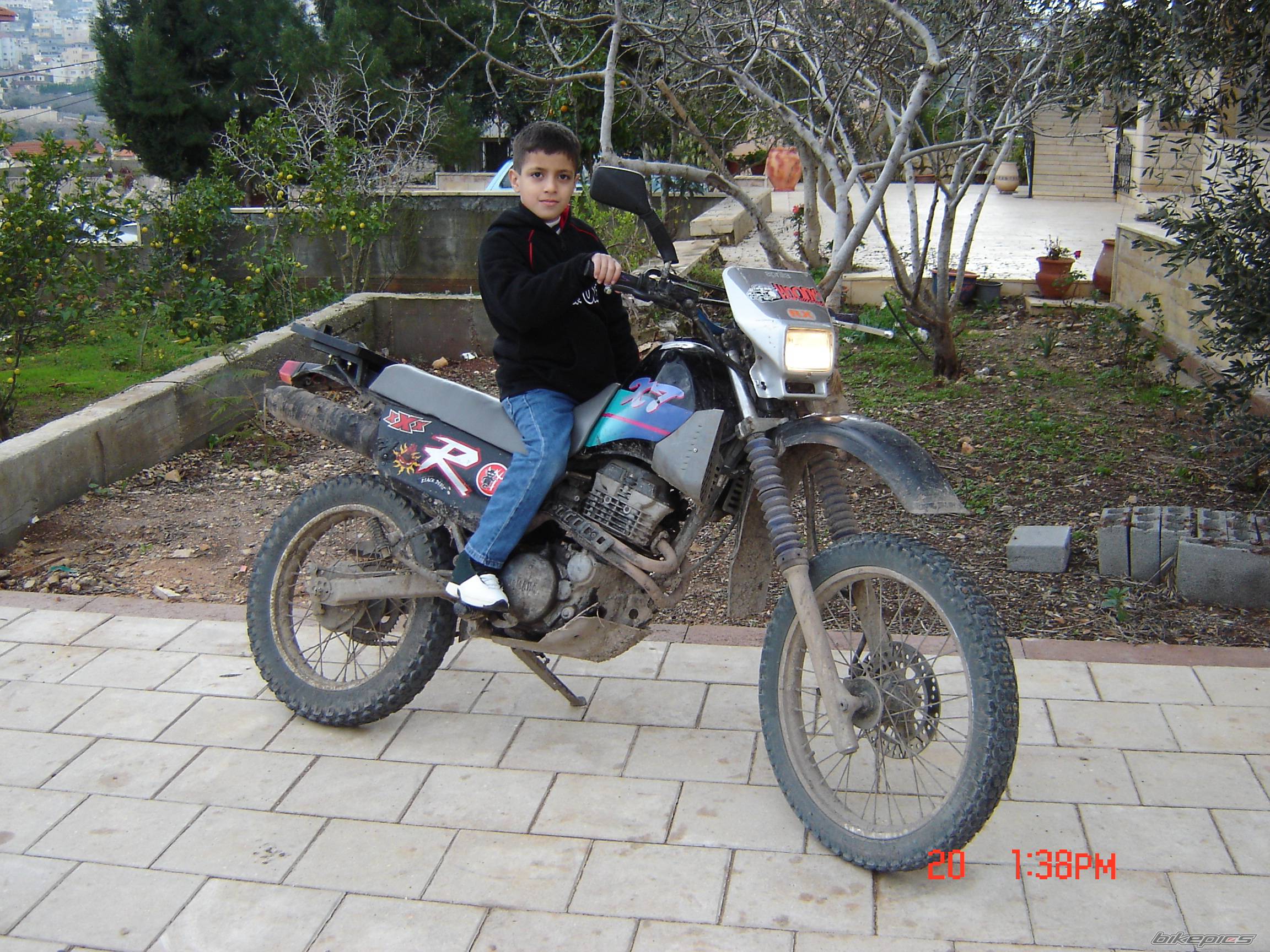 Photo 276585