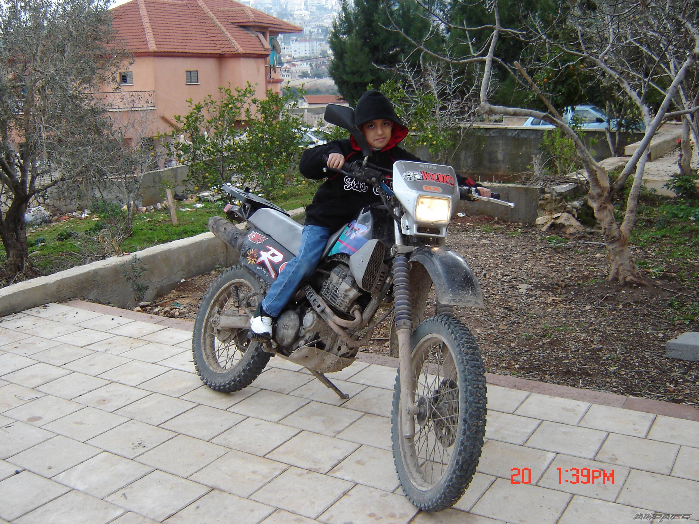 Photo 276586
