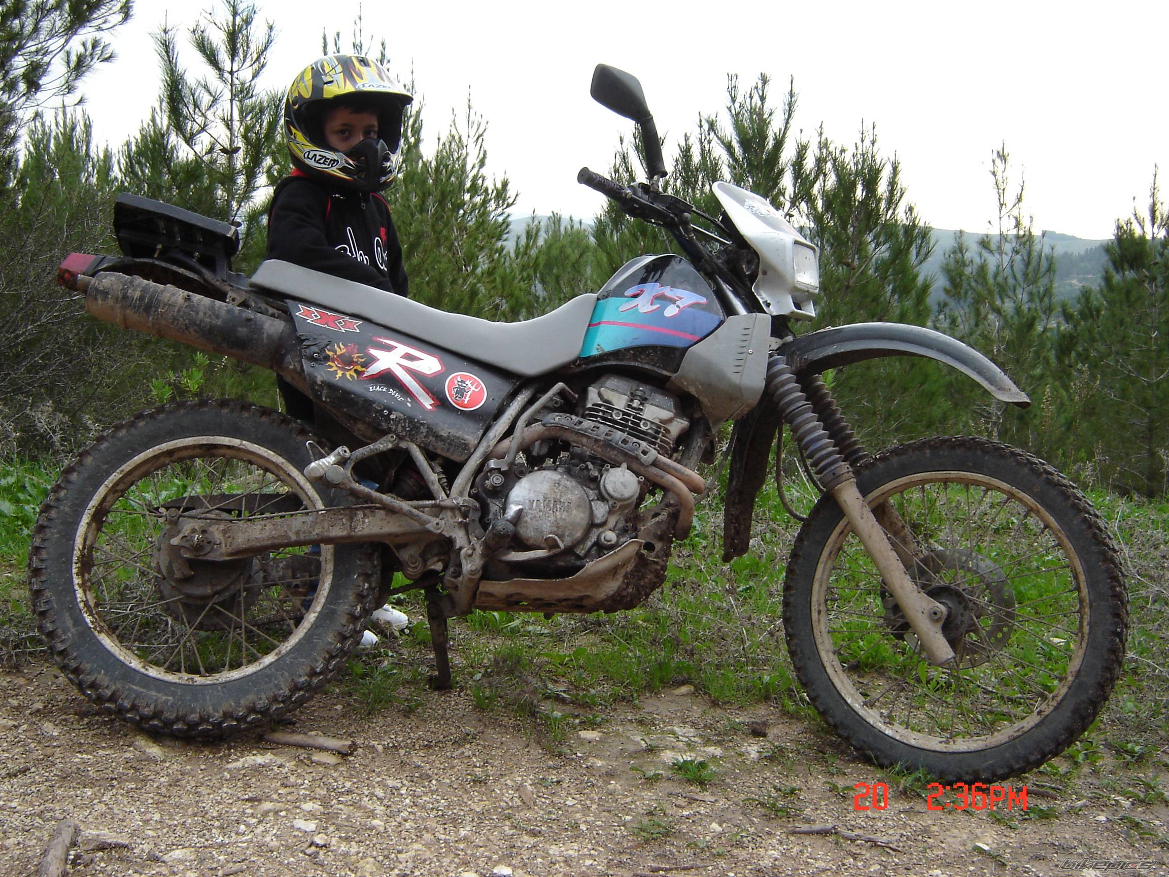 Bike Photo 276590