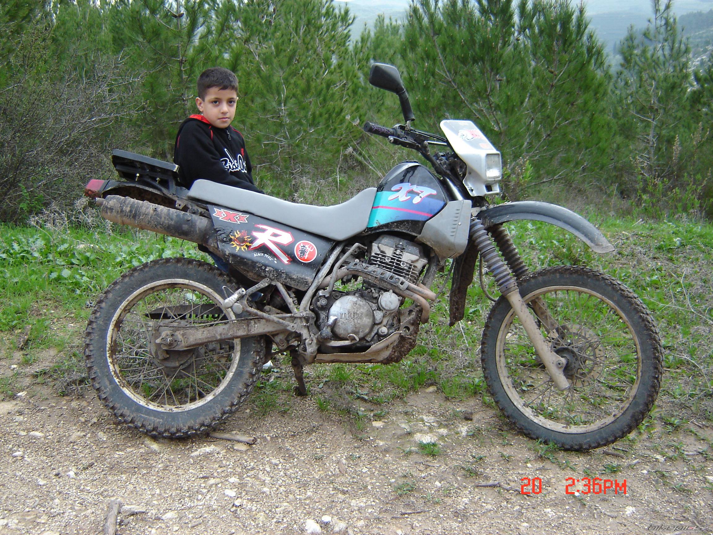 Photo 276591