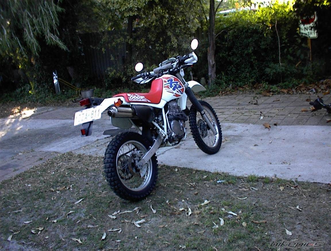 Photo 2766