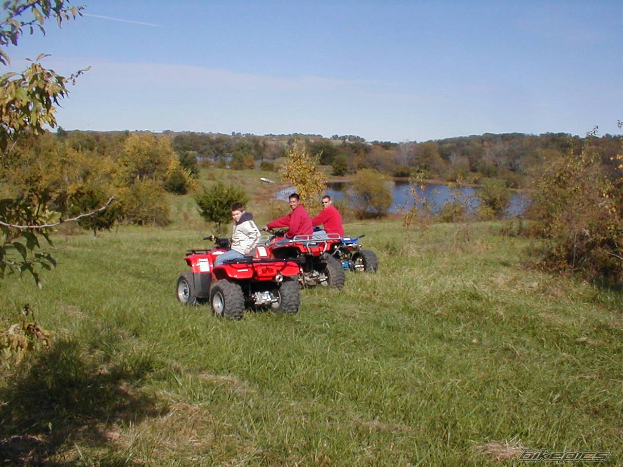 Photo 276616
