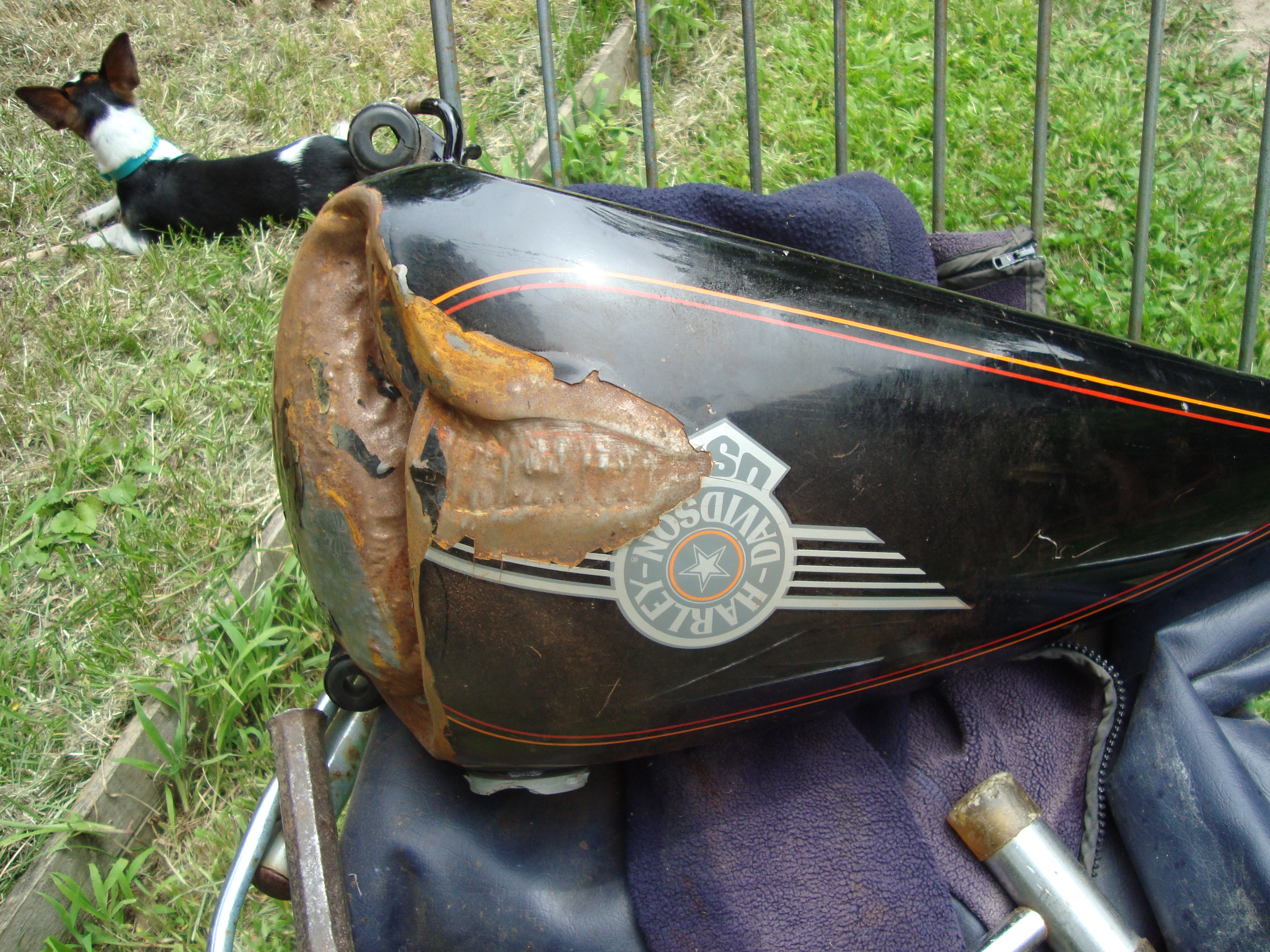 Photo 2766229