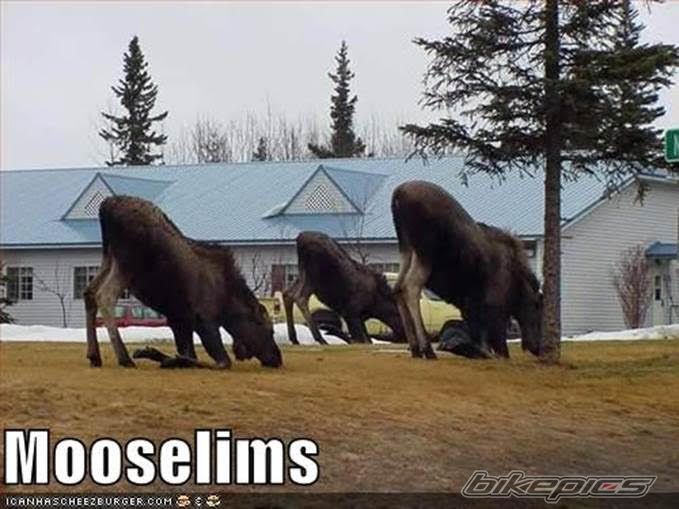 Photo 2766249