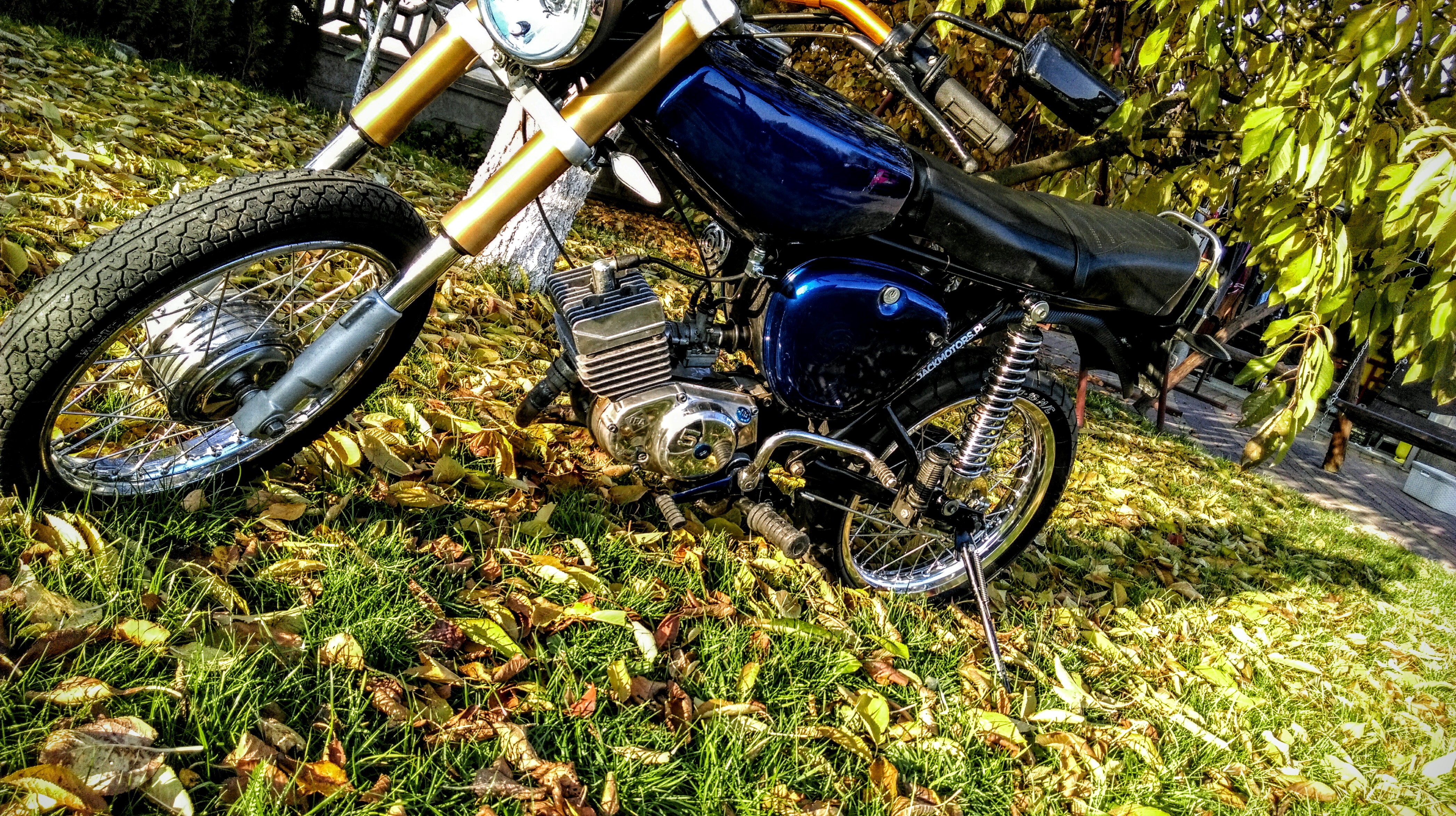 Photo 2766411