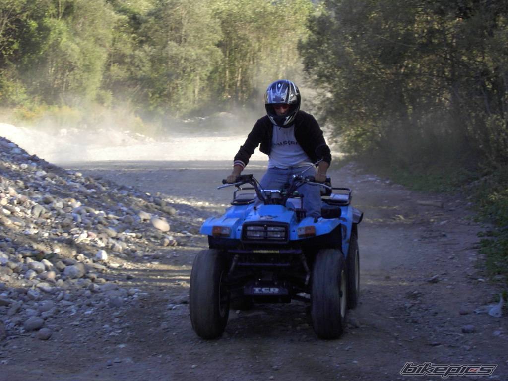 Photo 276691