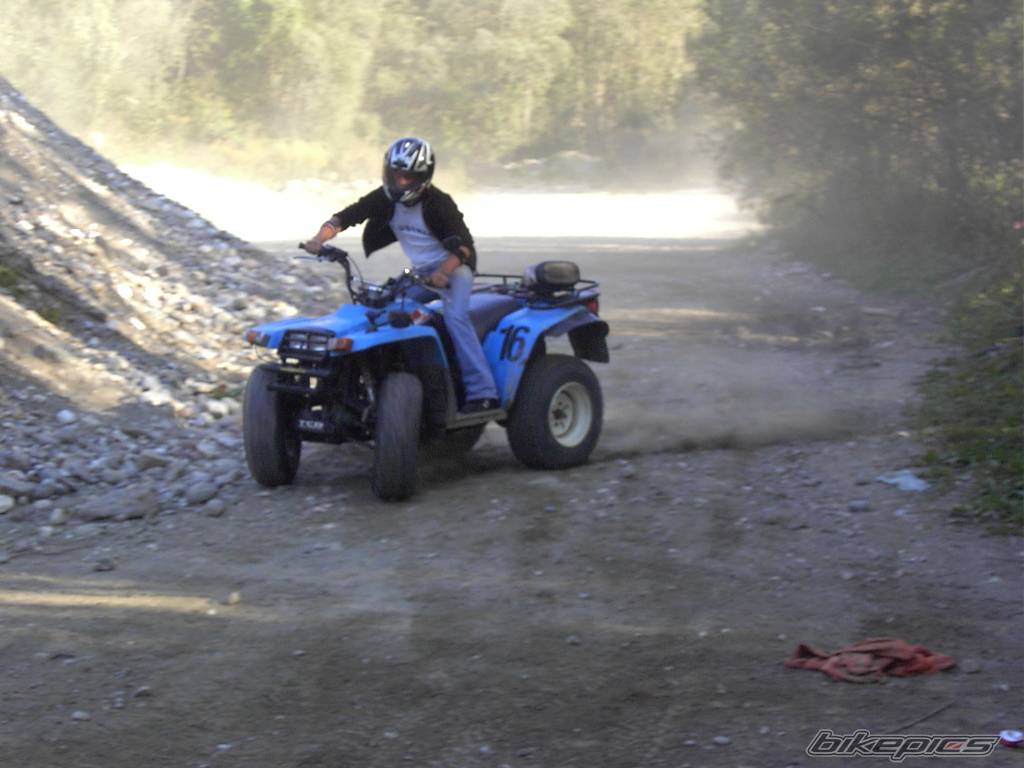 Photo 276697