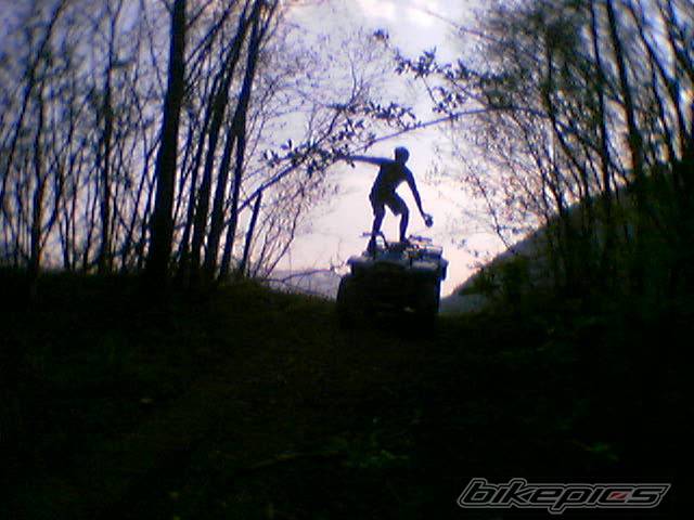 Photo 276706
