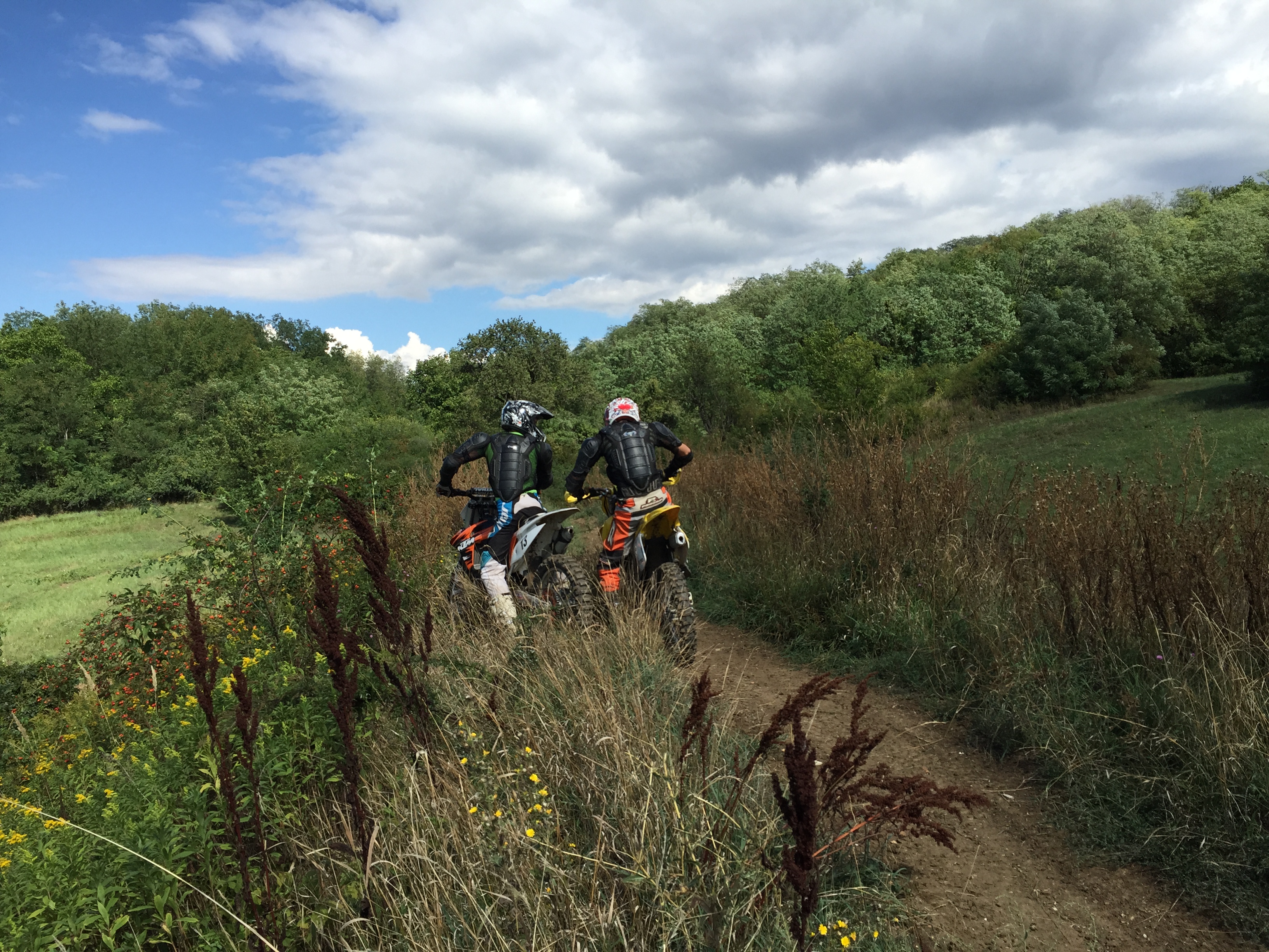 Photo 2767079