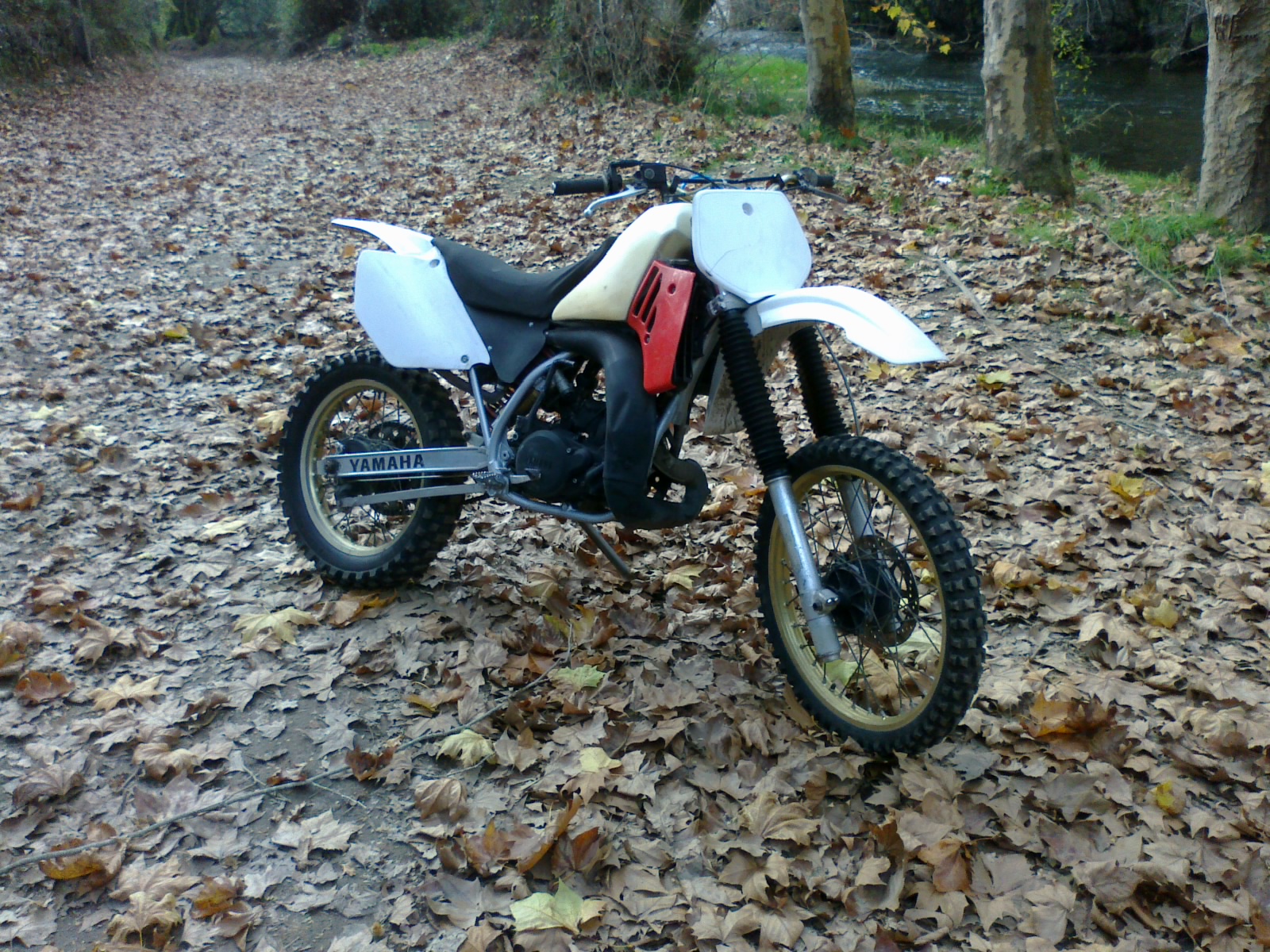 Photo 2767173