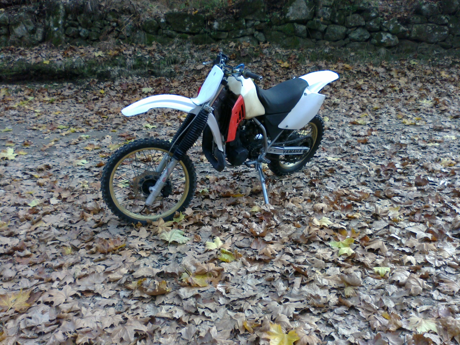 Photo 2767175