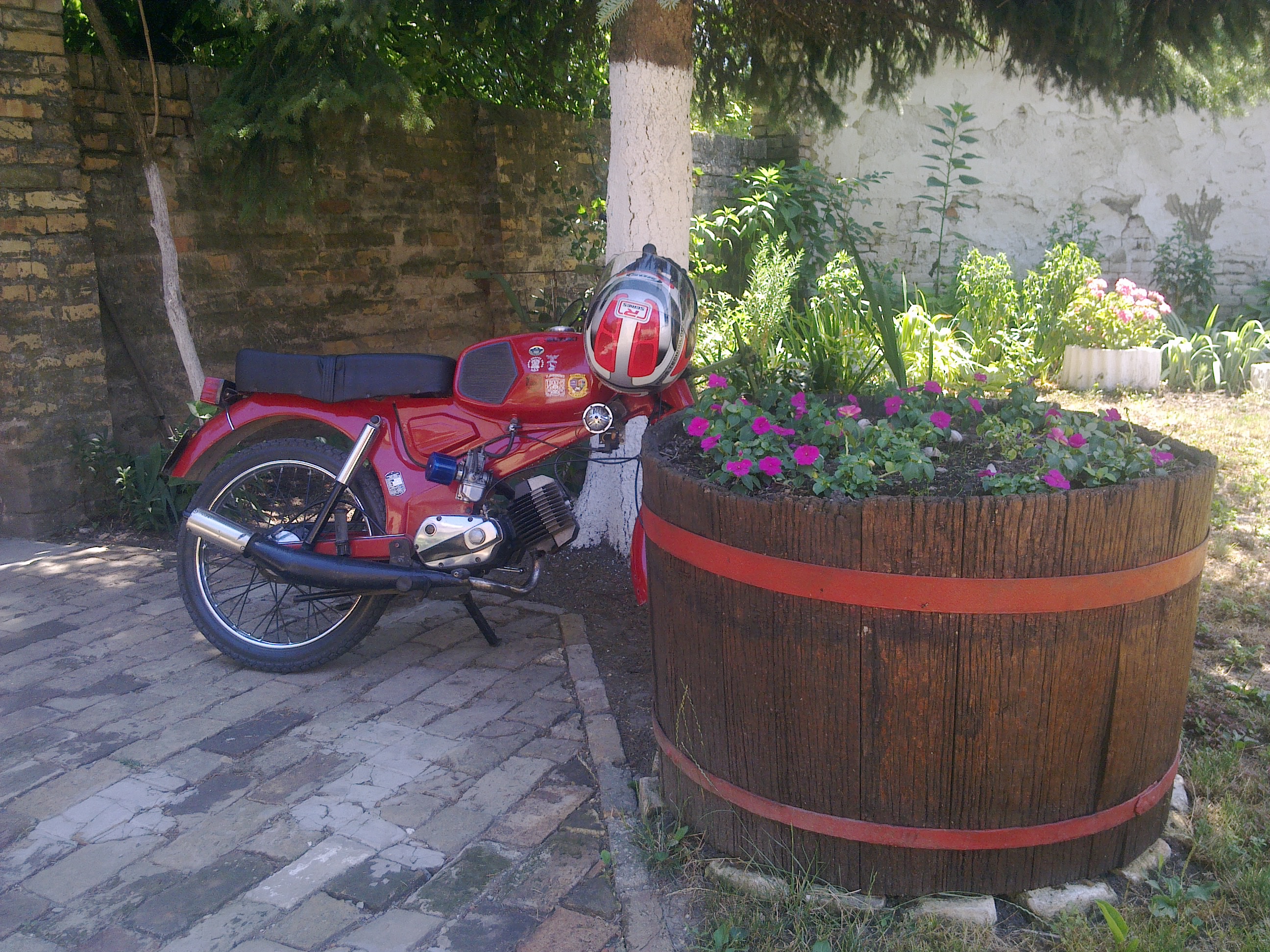 Photo 2767436