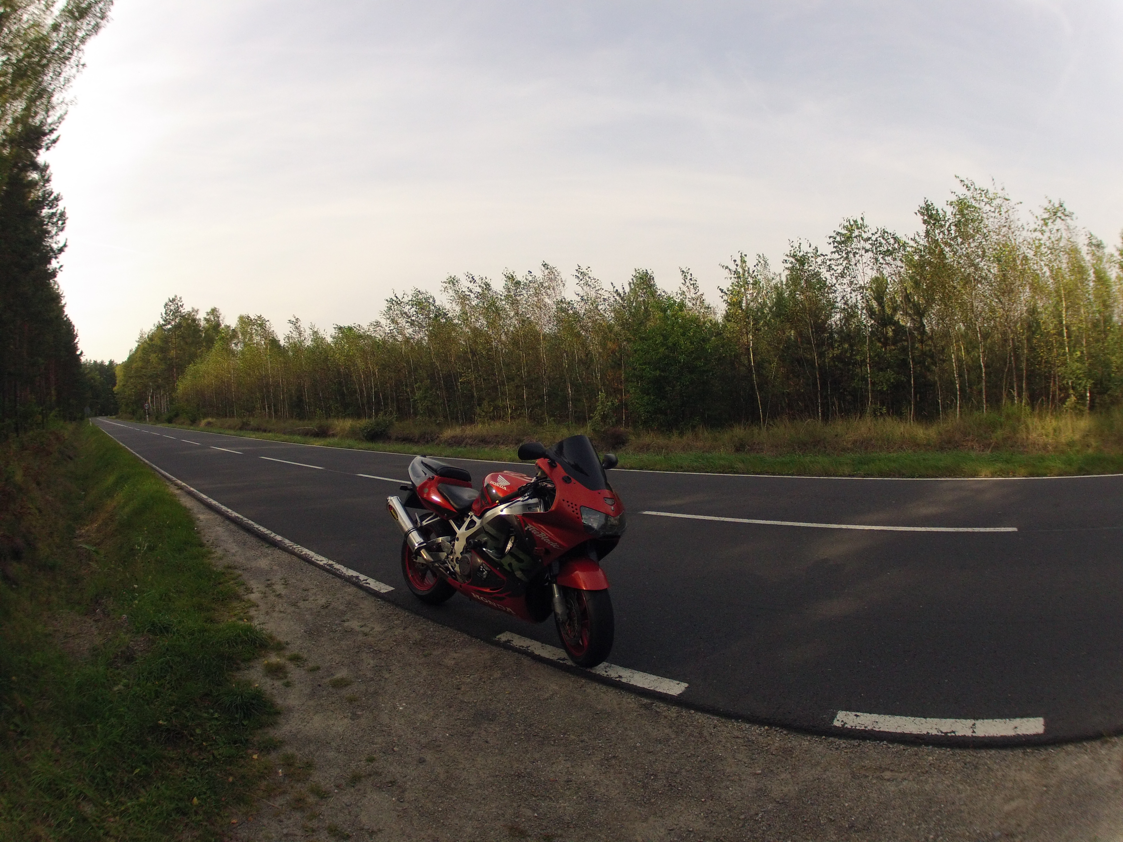 Photo 2767468