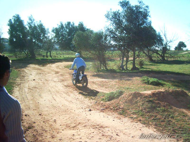 Photo 276752