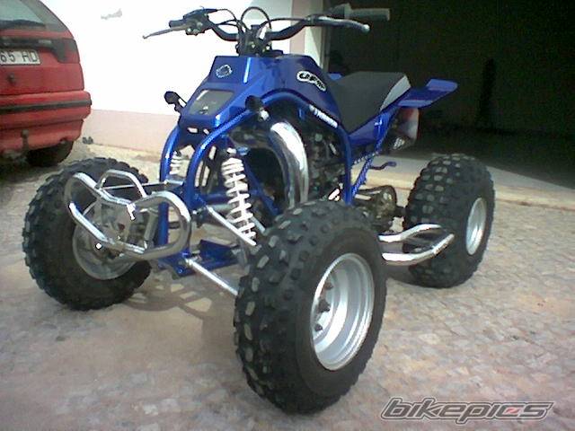 Photo 276772