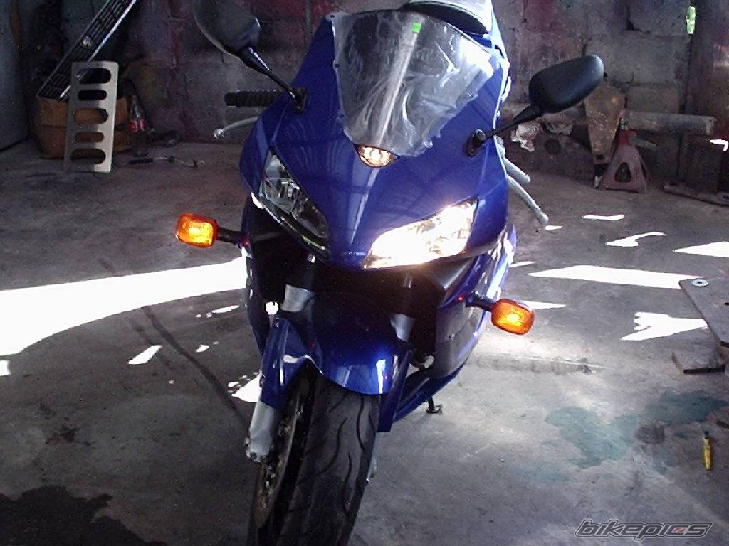 Photo 276790