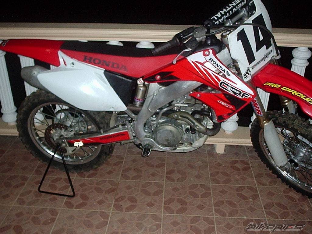 Photo 276791