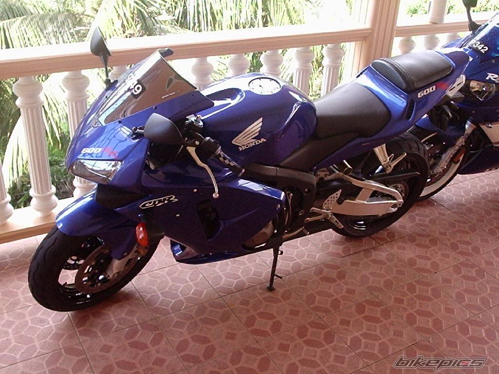 Photo 276792