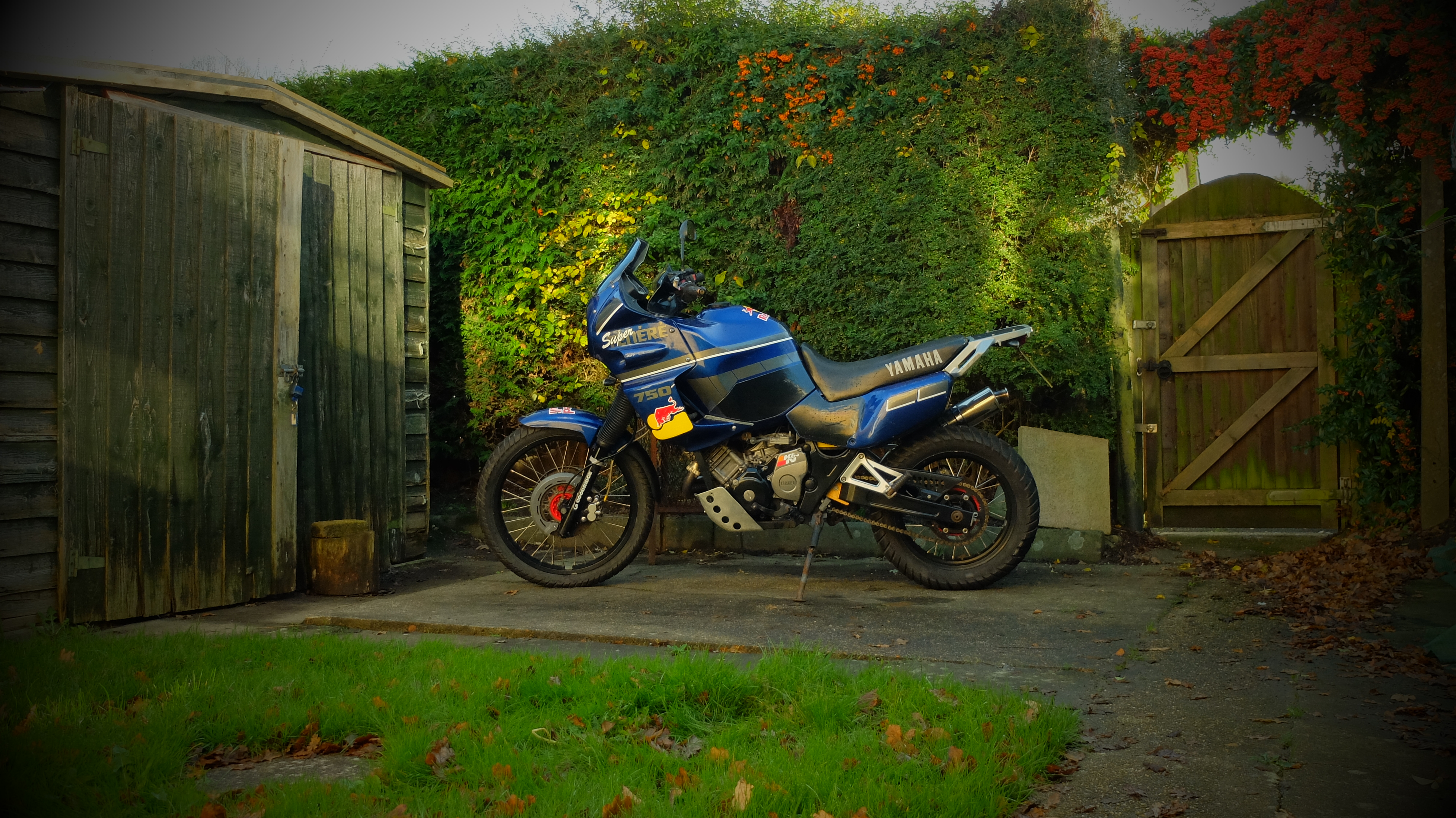 Photo 2767950