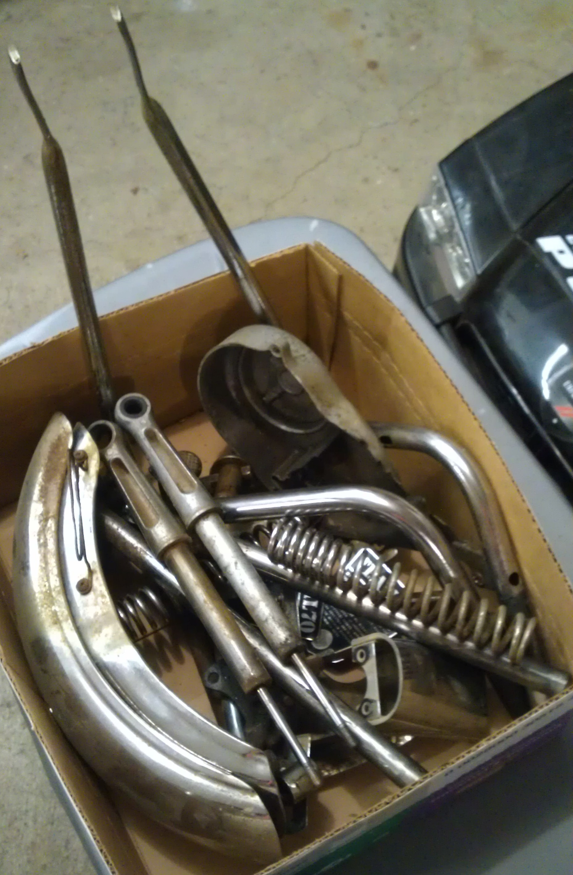 Photo 2768114
