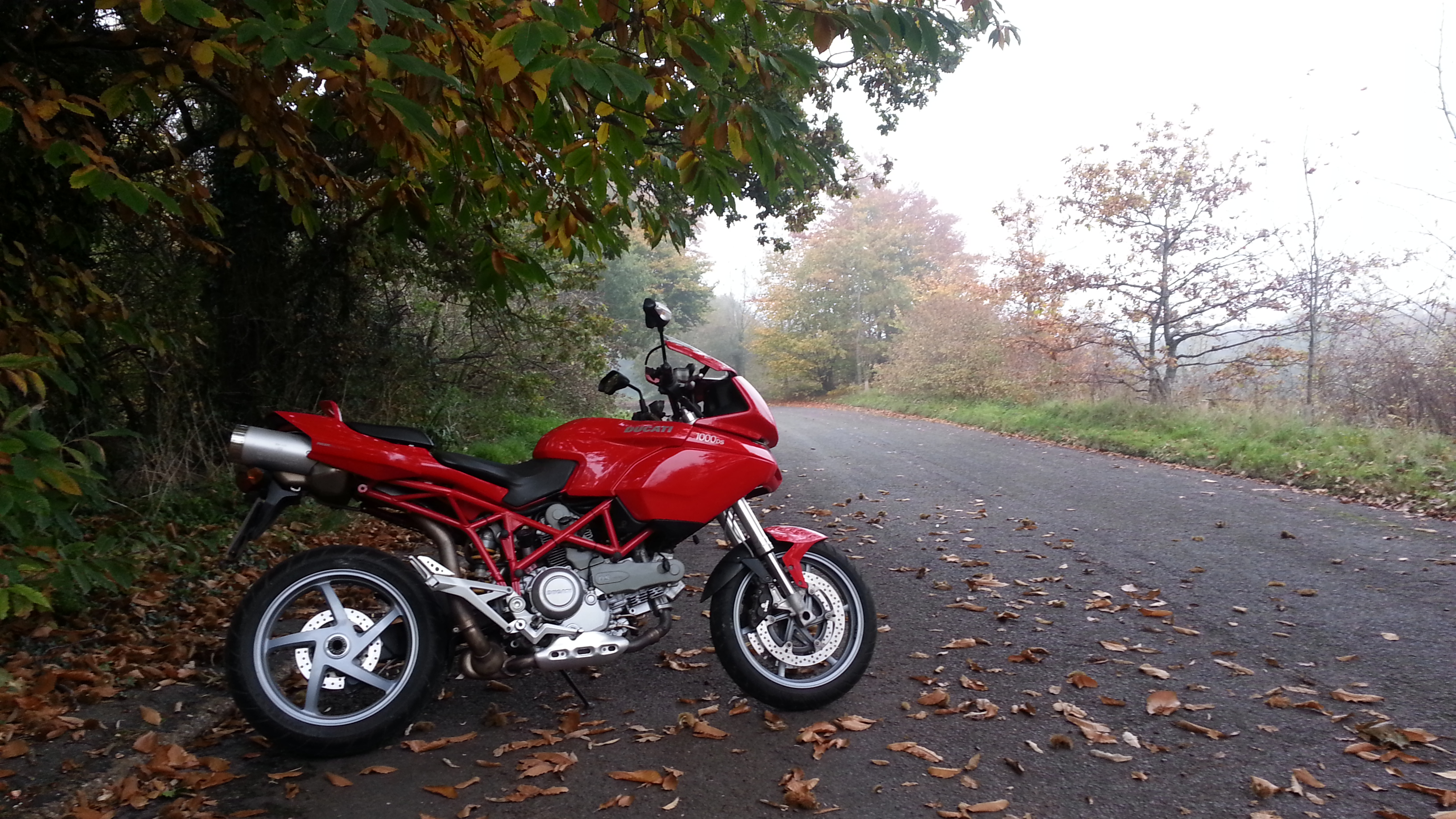 Photo 2768120