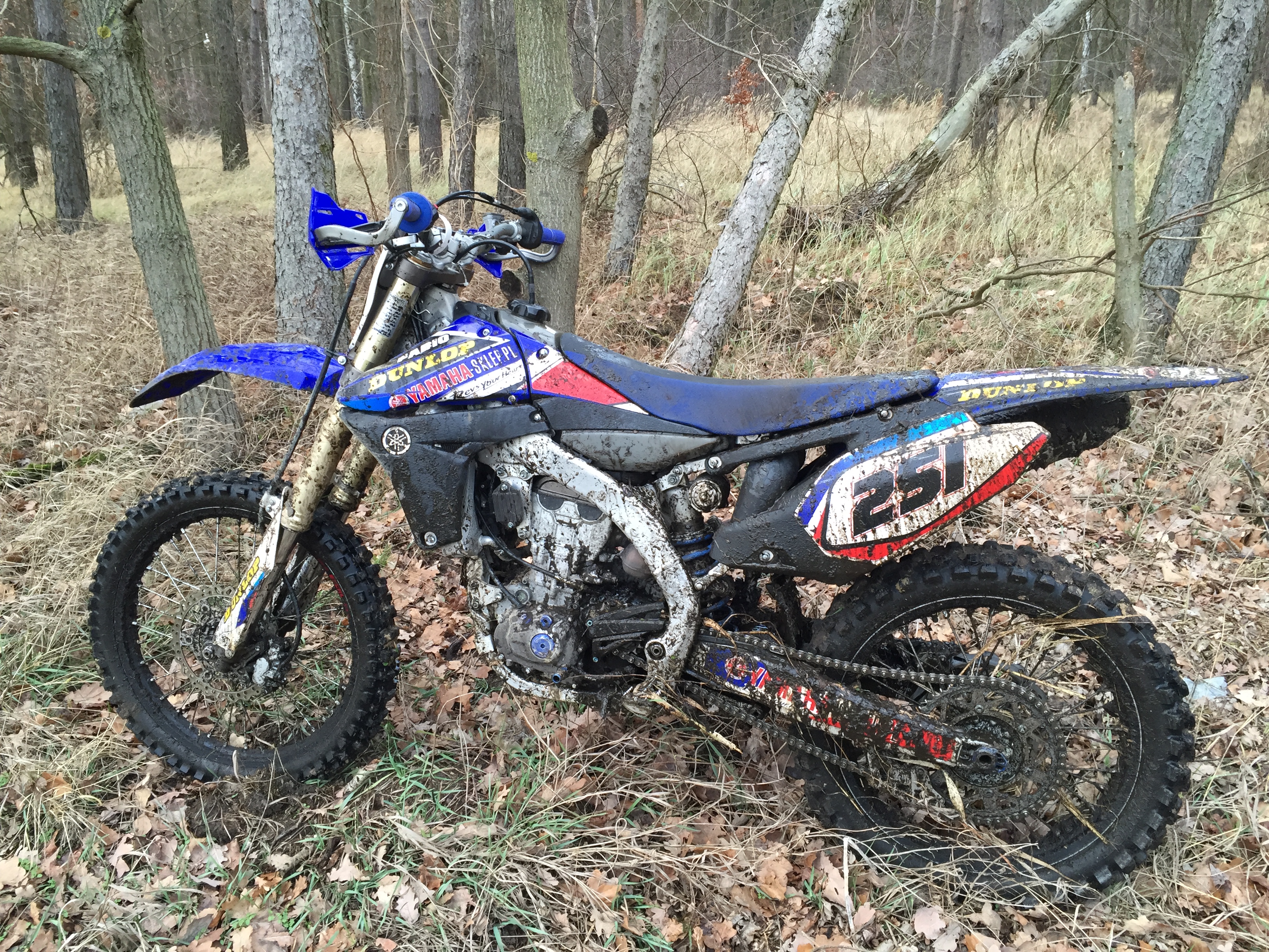 Photo 2768243