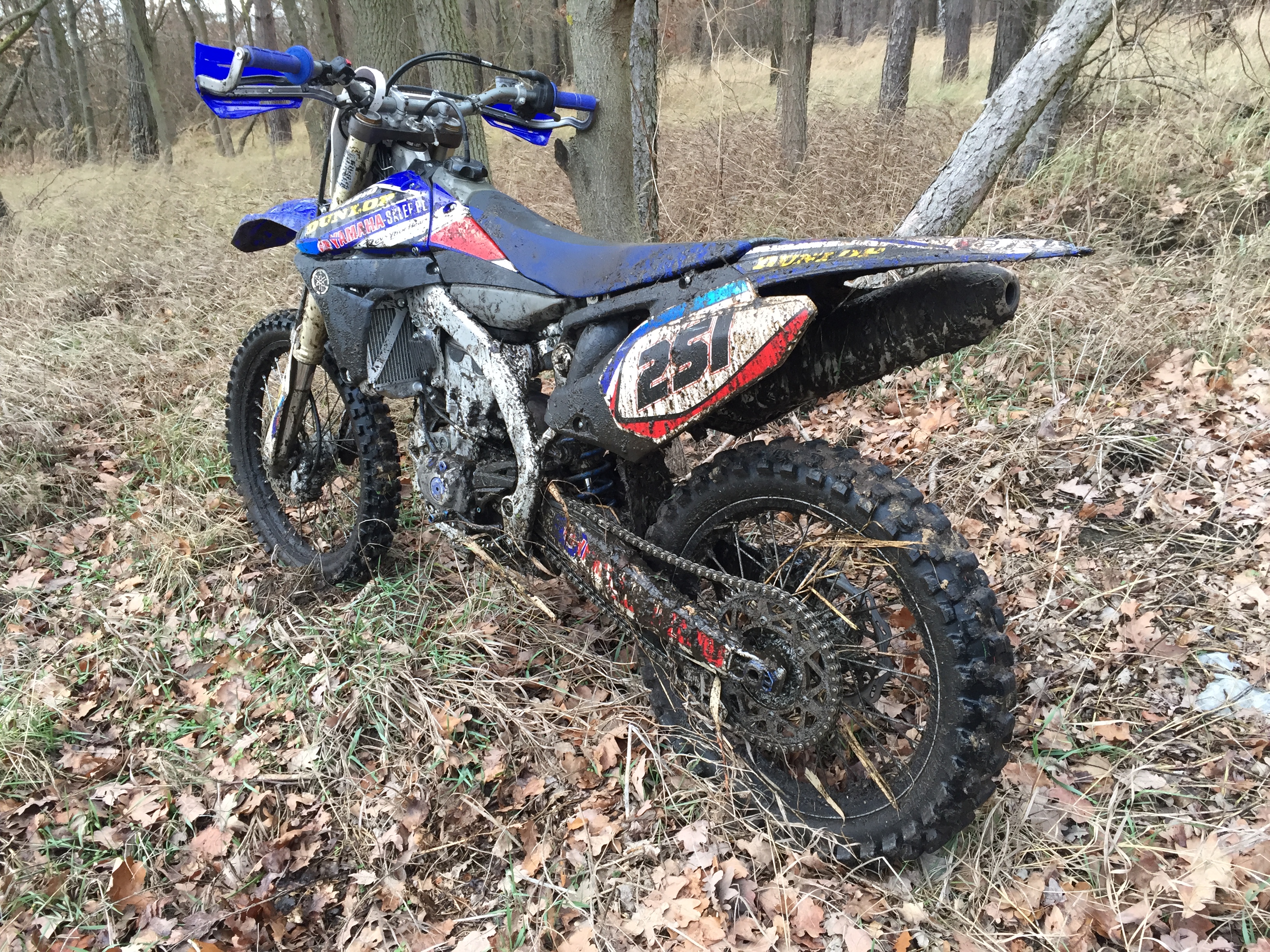 Photo 2768244