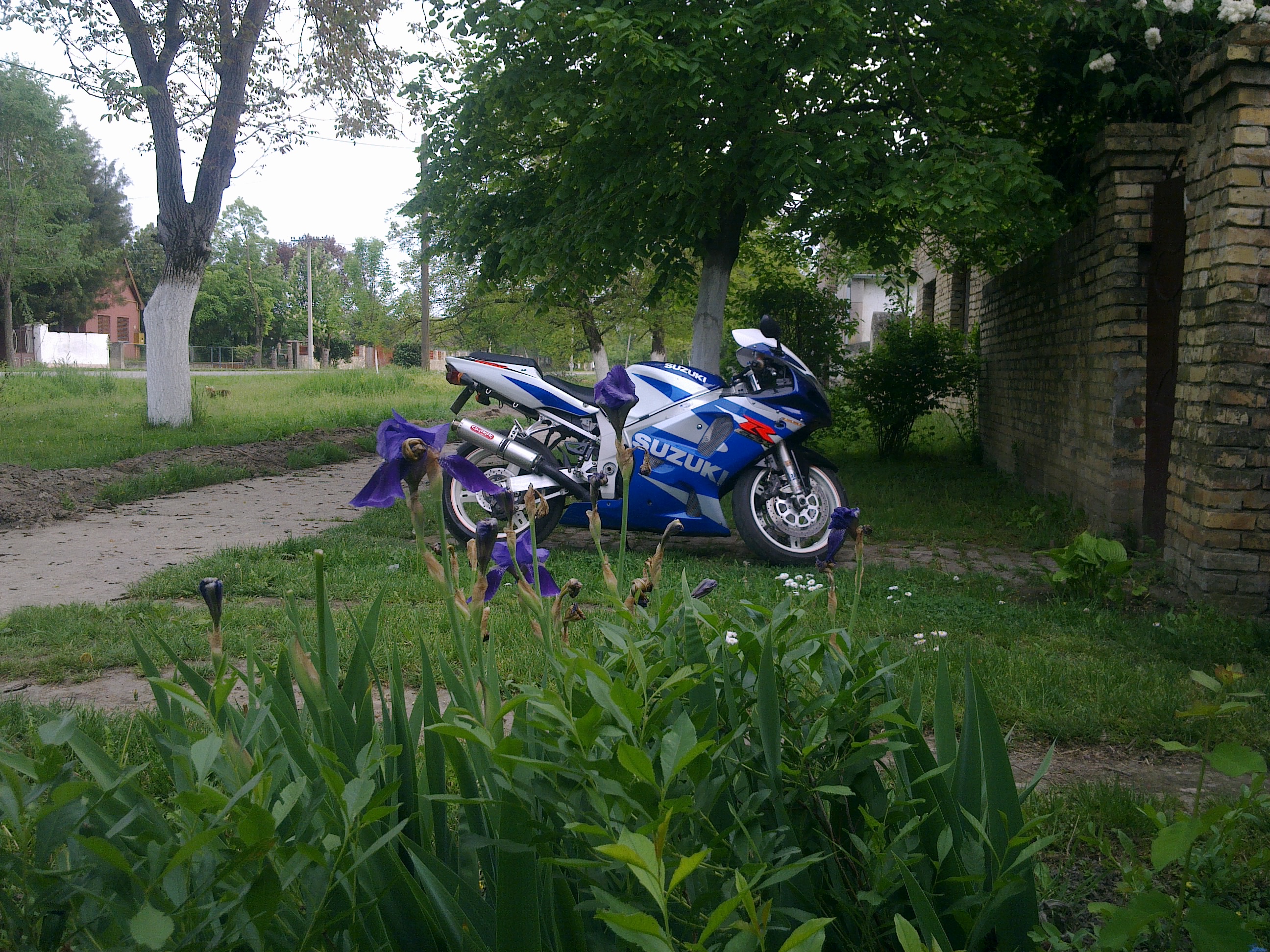 Photo 2768278