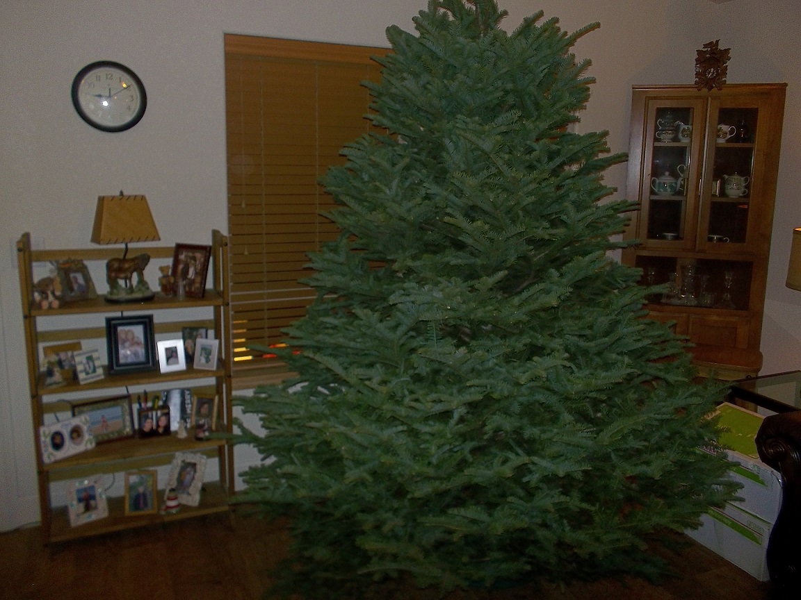 Photo 2768326