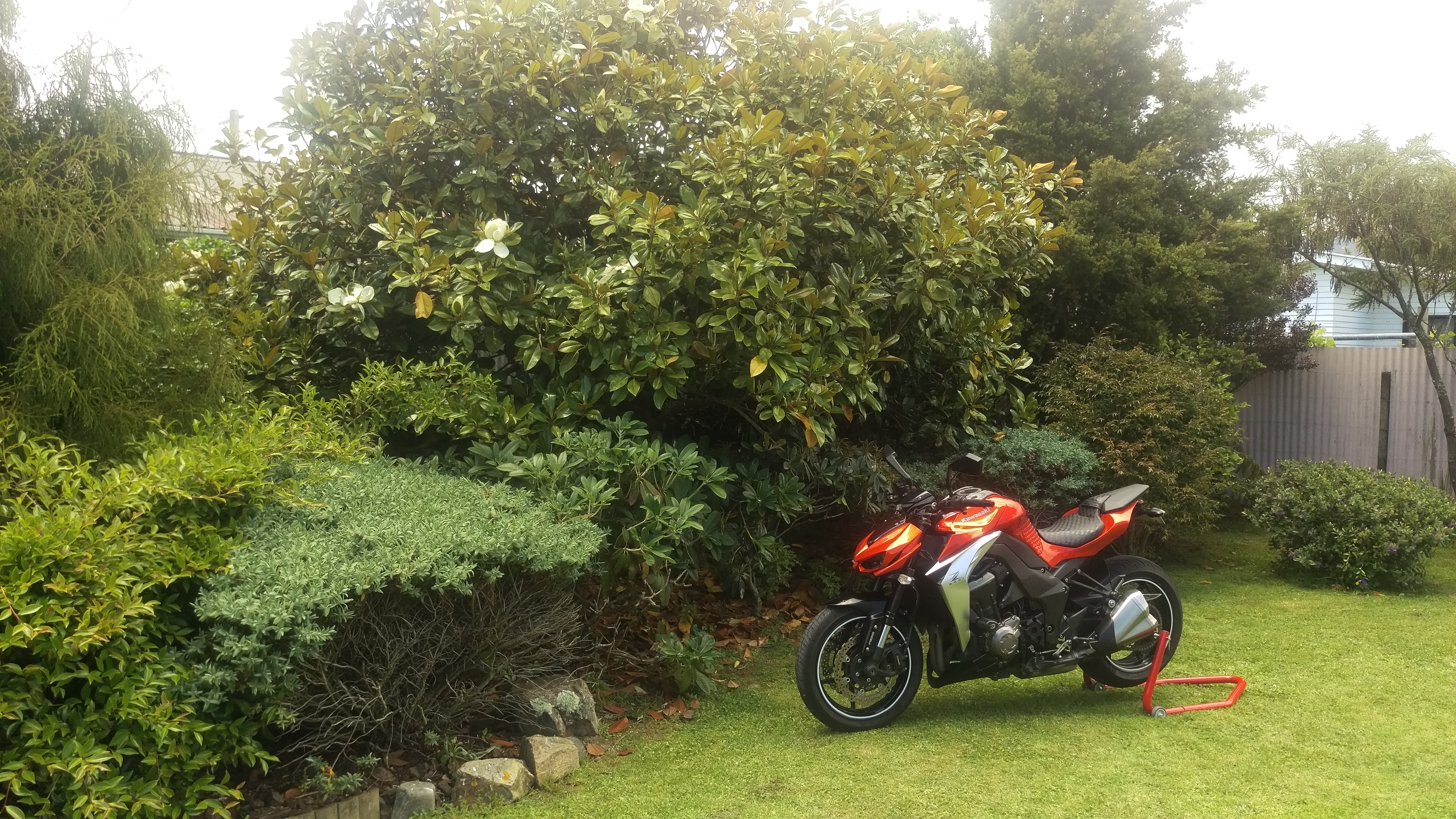 Photo 2768329