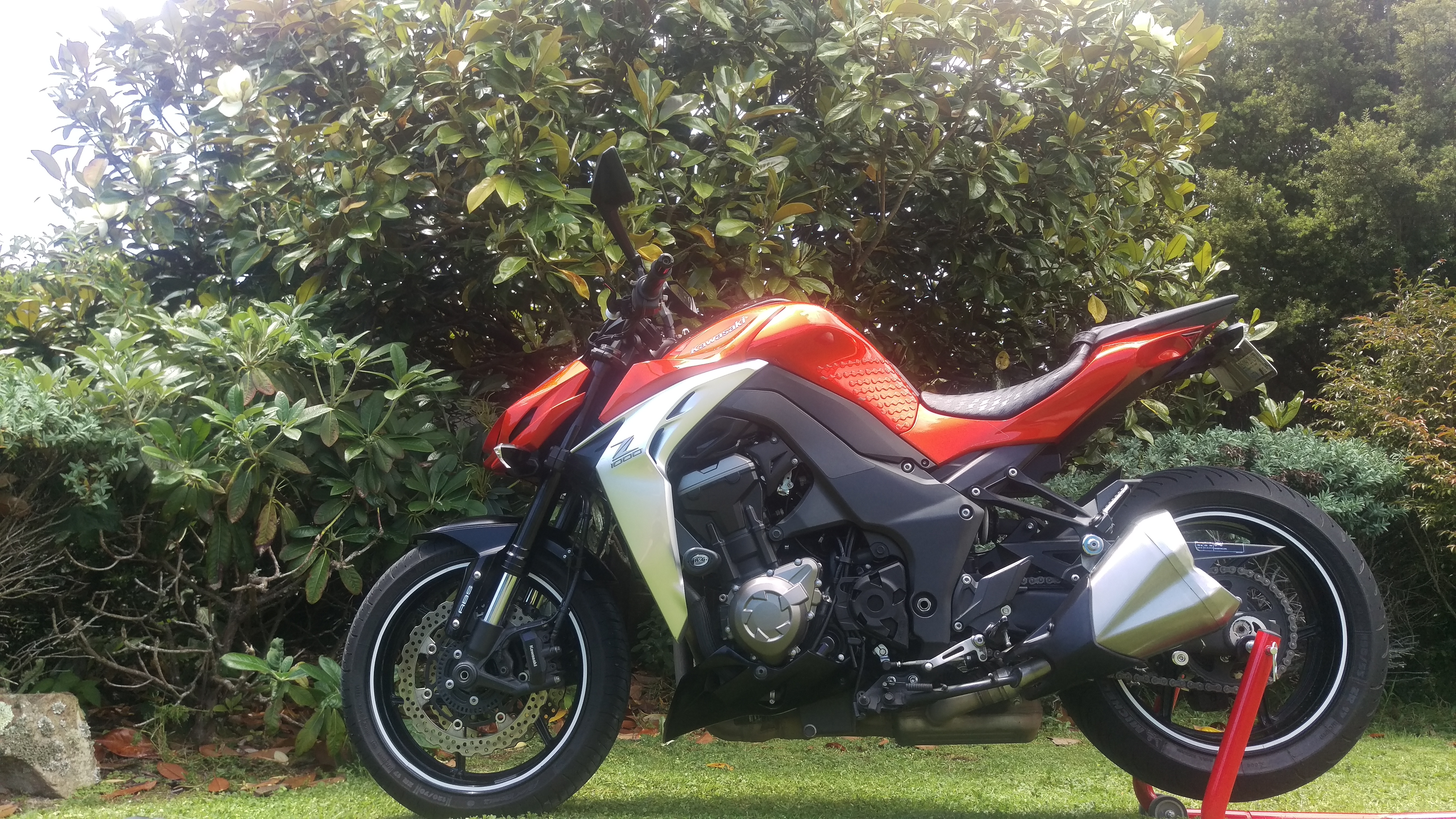 Photo 2768331