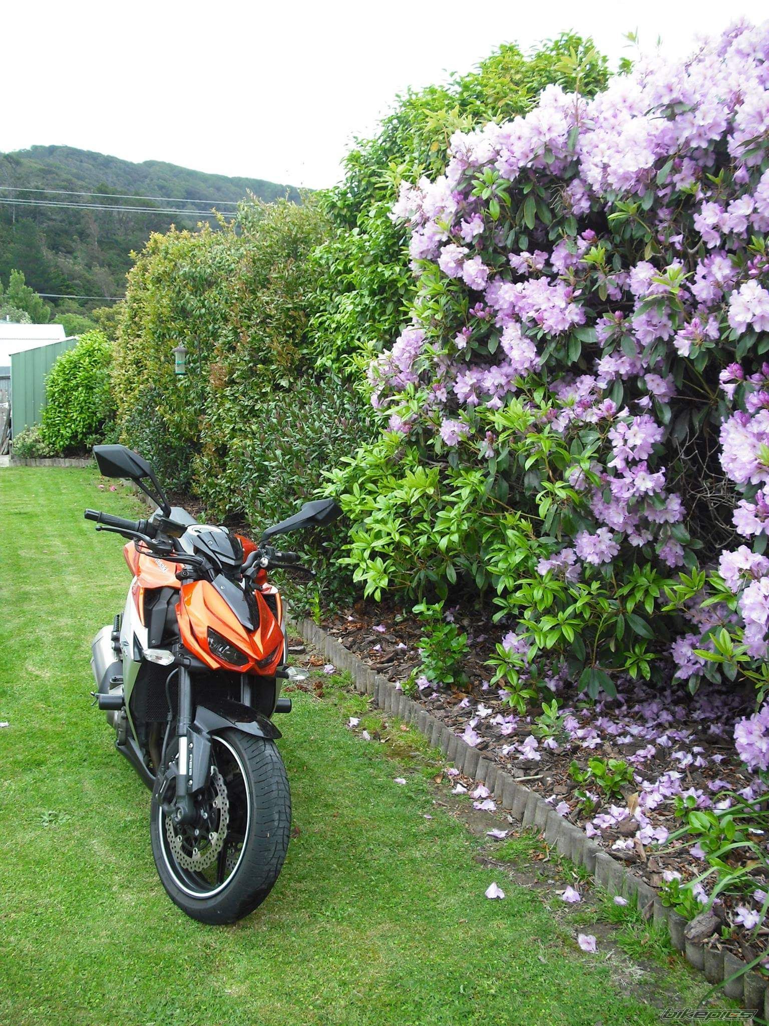 Photo 2768332