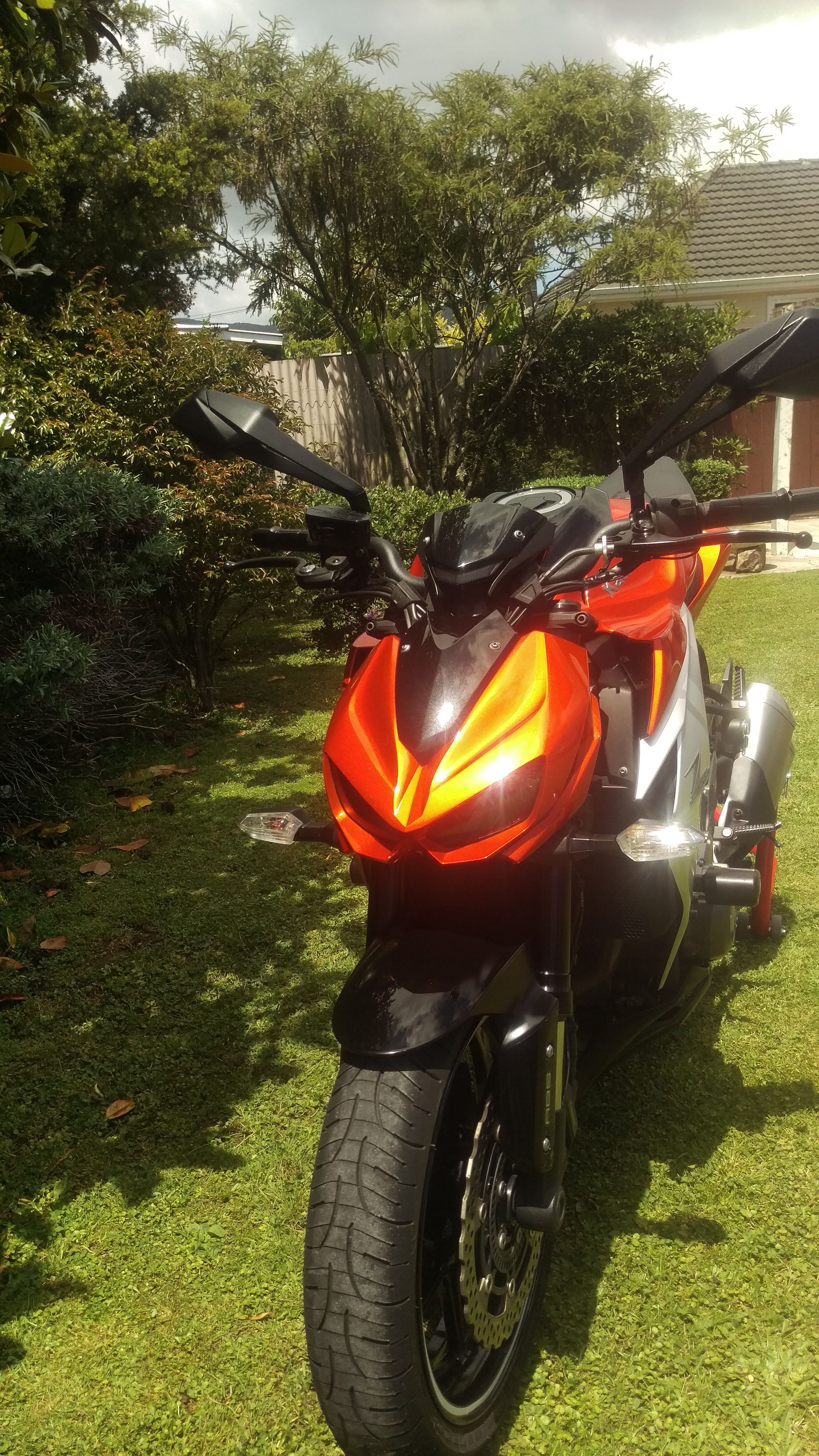 Photo 2768333