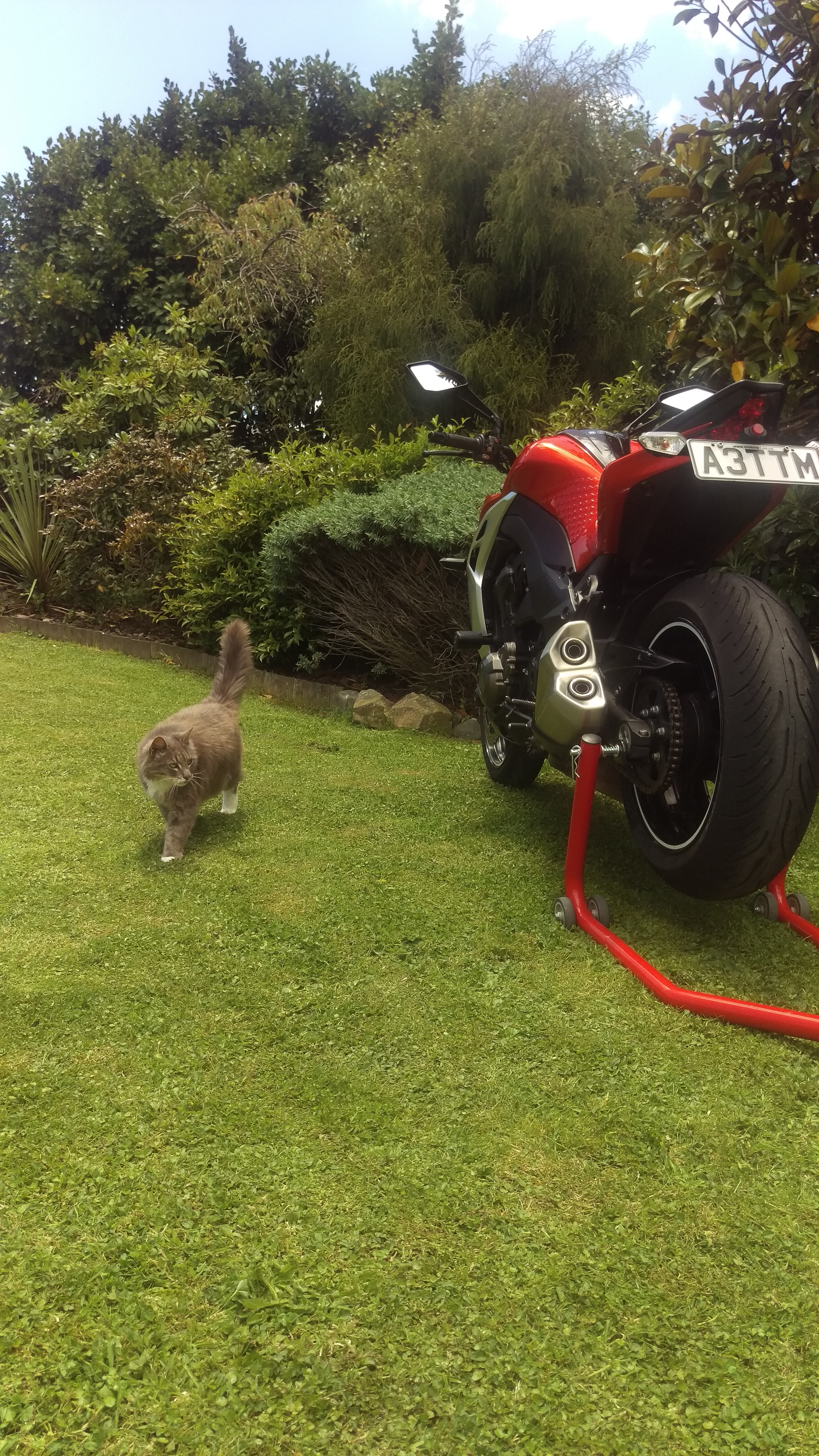 Photo 2768334