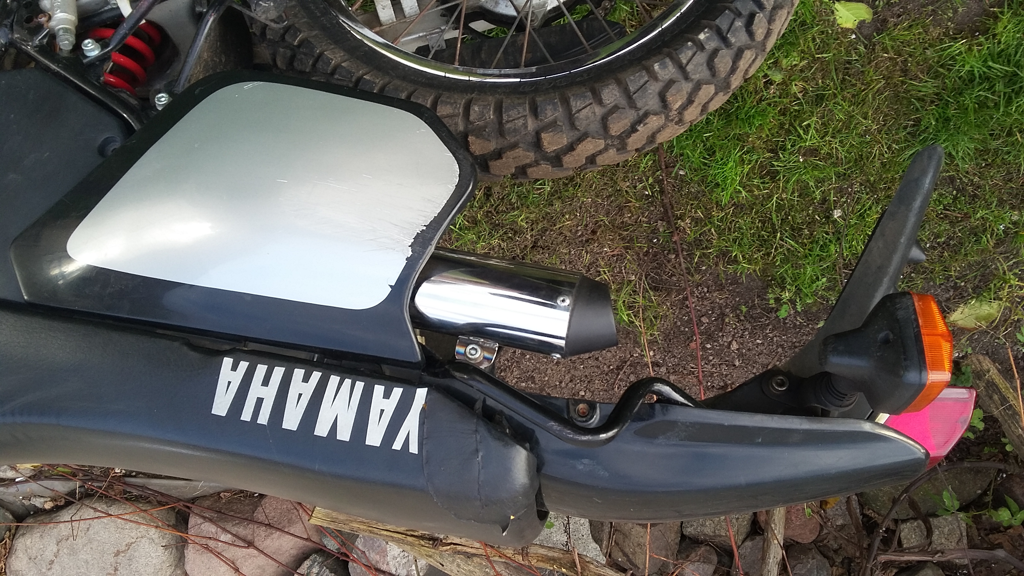 Photo 2768395