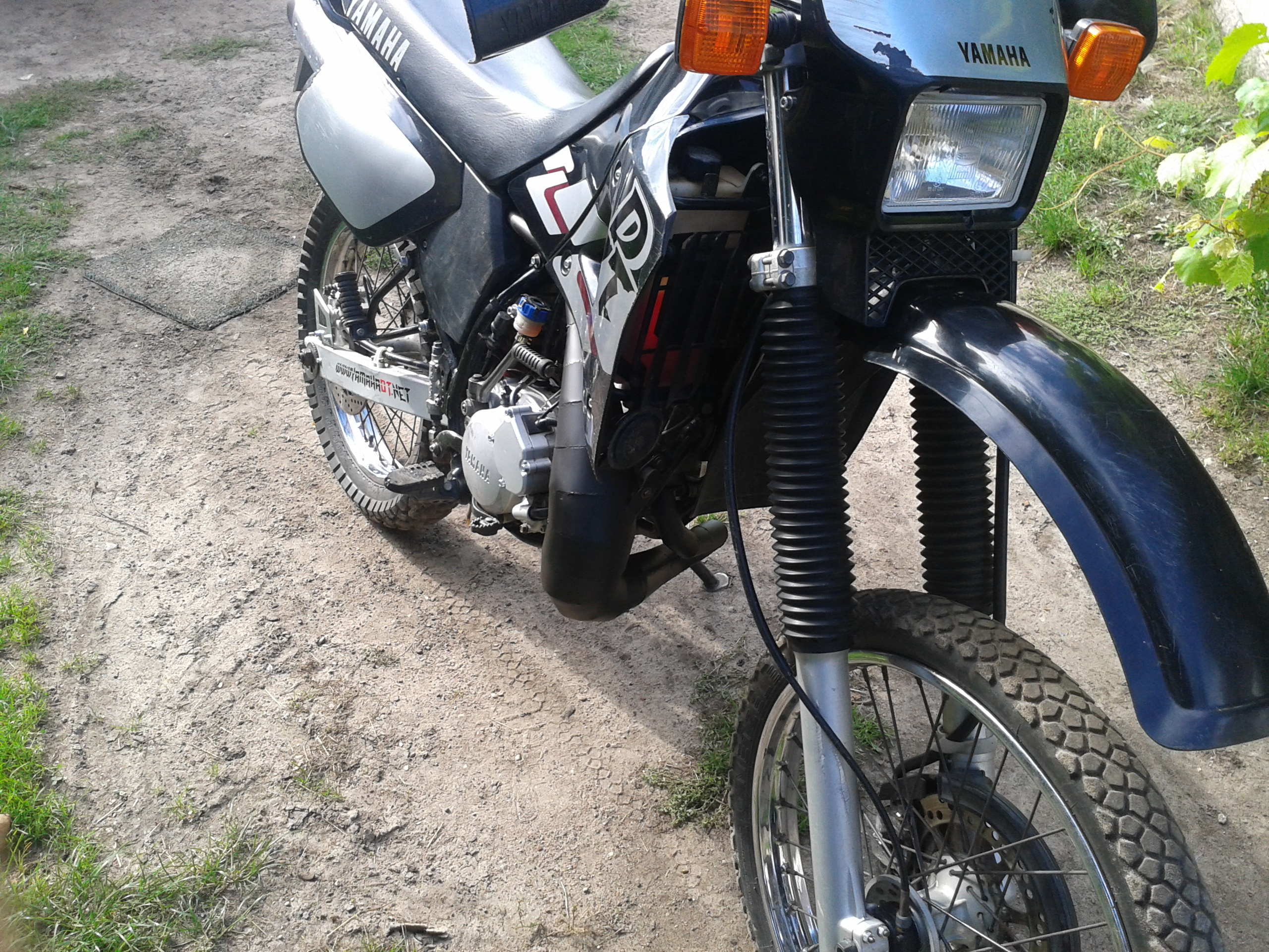 Photo 2768401
