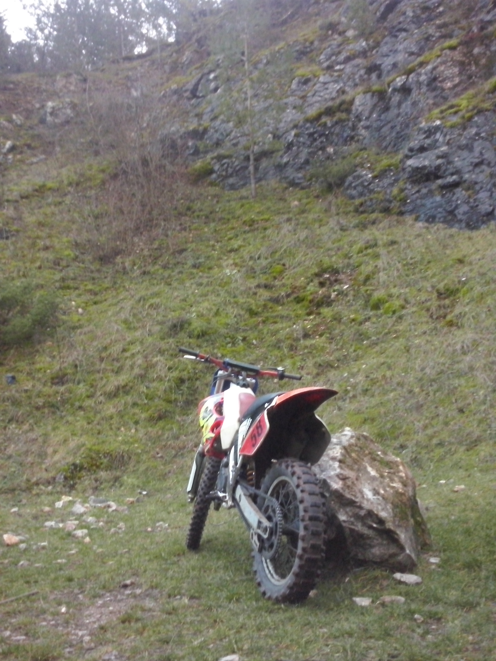 Photo 2768452