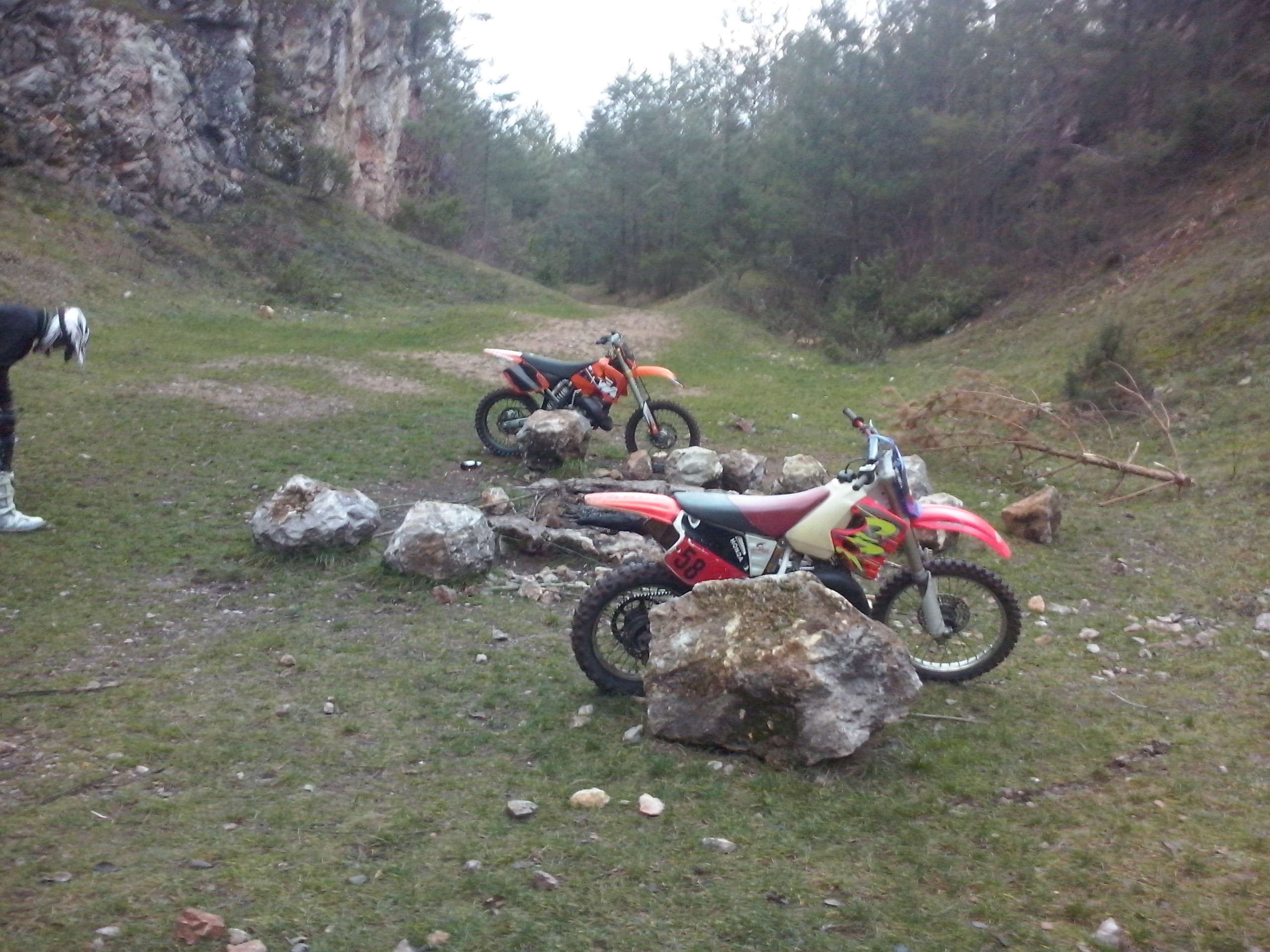 Photo 2768454