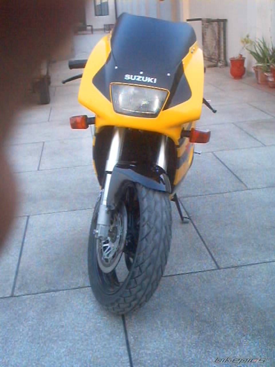 Photo 276857