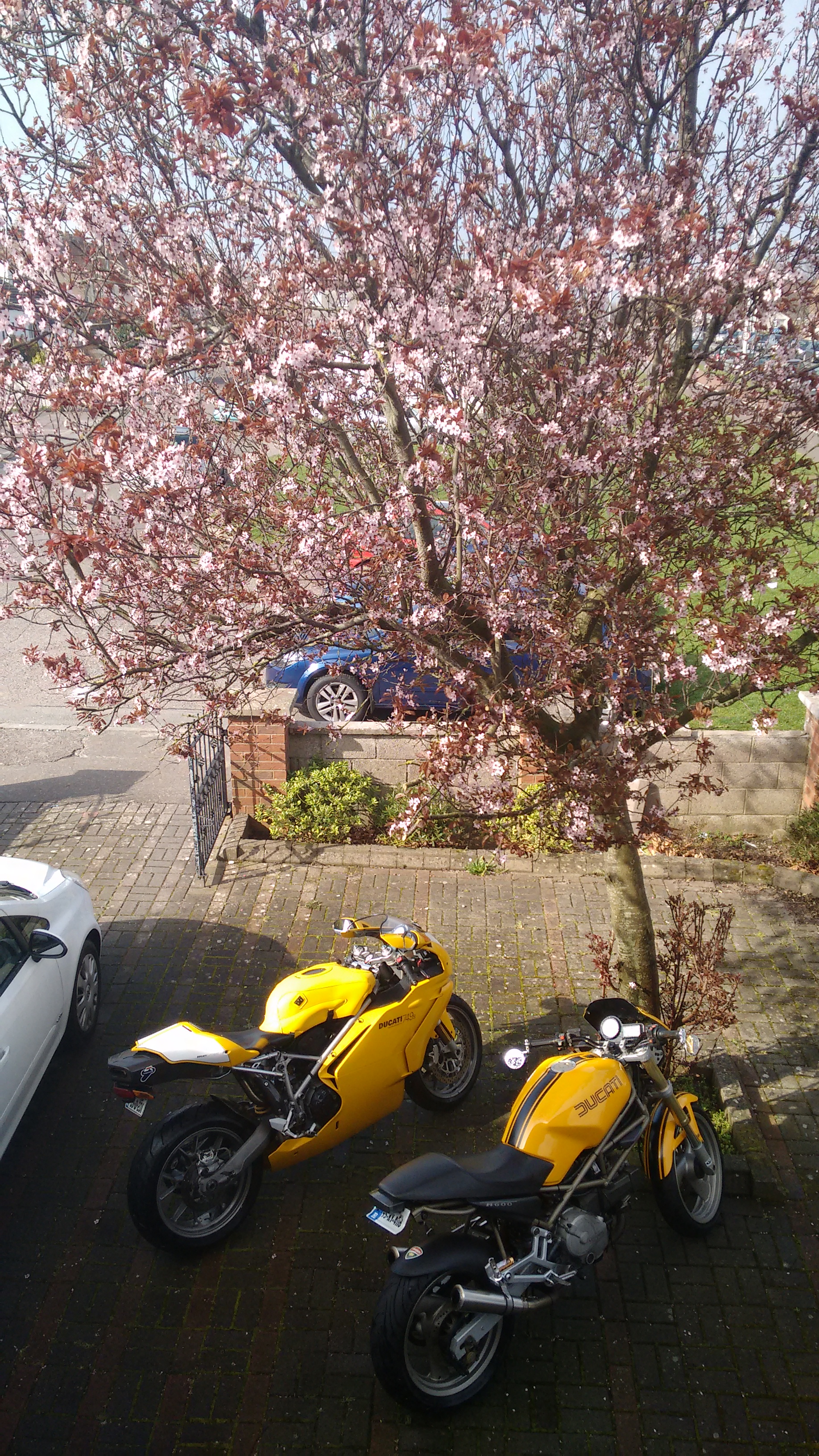 Bike Photo 2768627