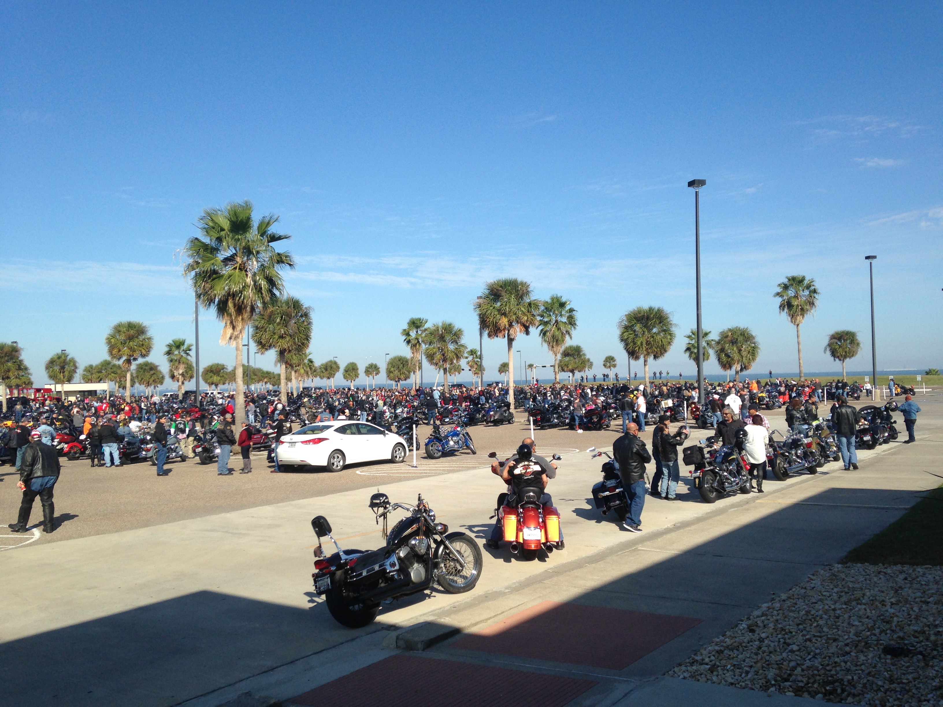 Photo 2768699