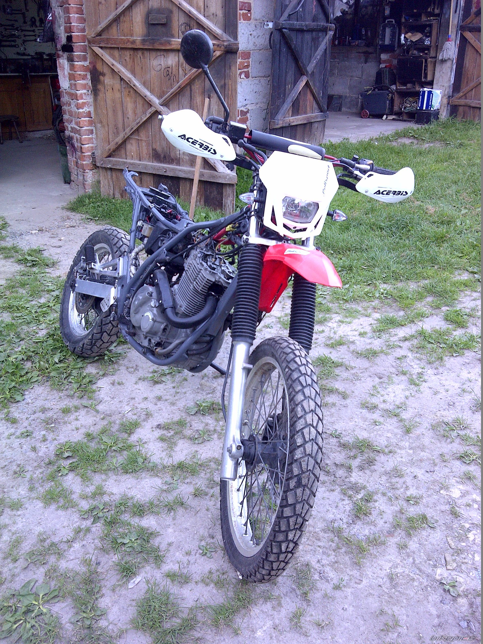 Photo 2768718