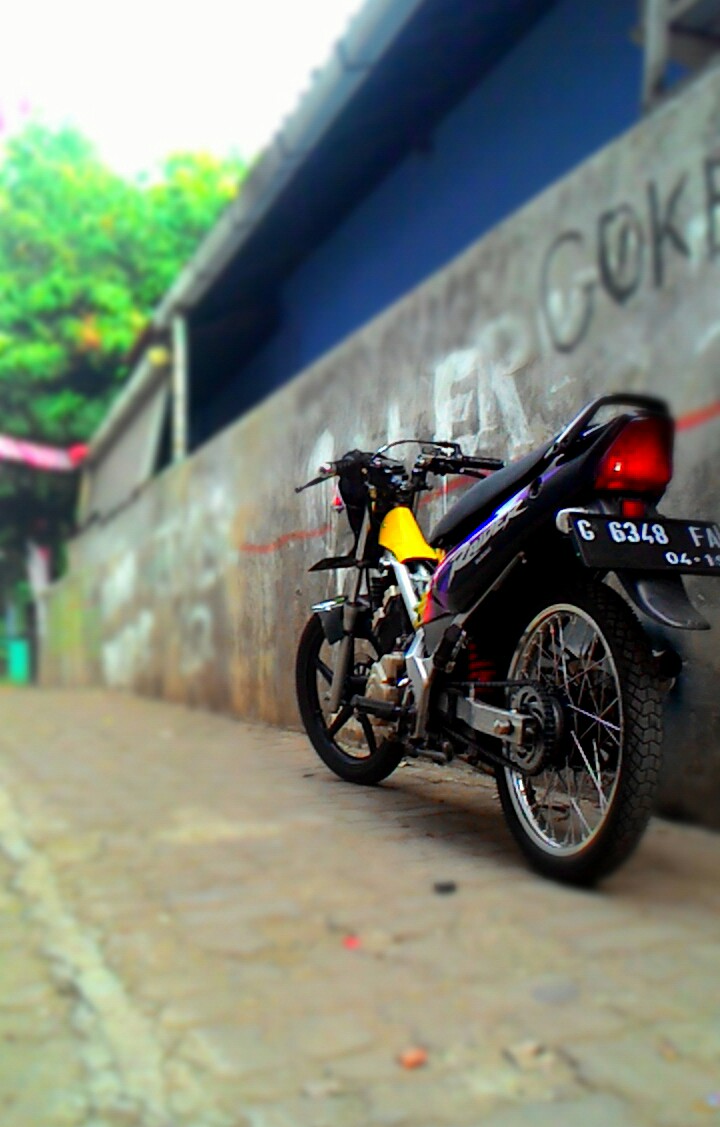 Photo 2768786