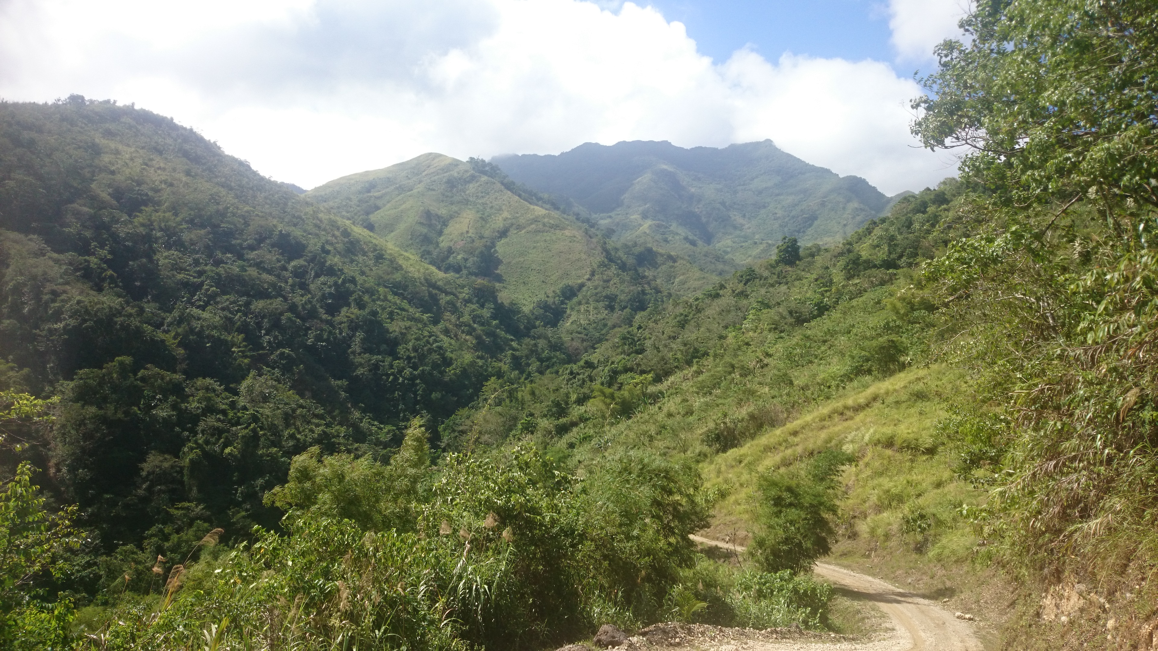 Photo 2768927