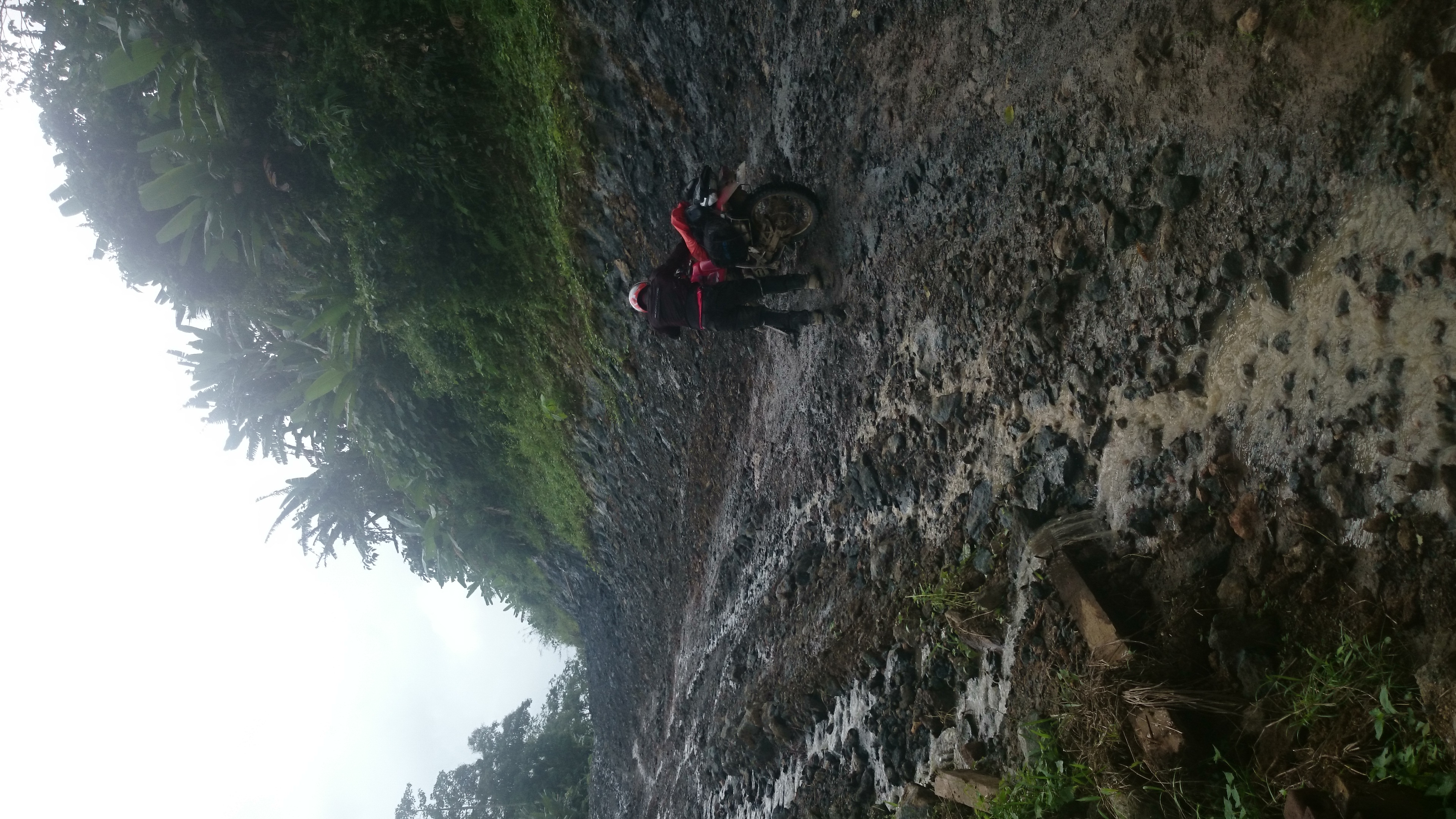 Photo 2768948