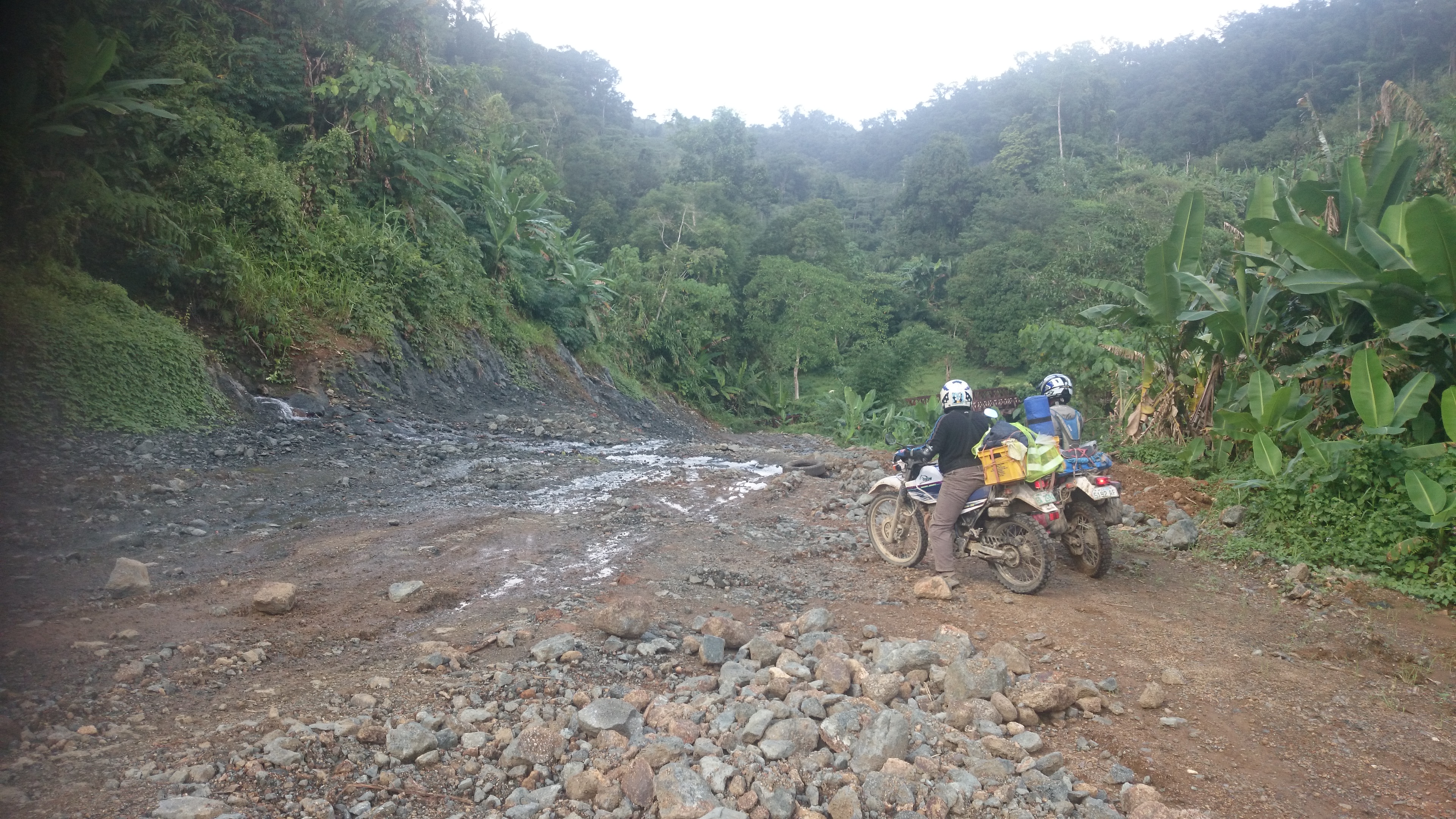 Photo 2768949
